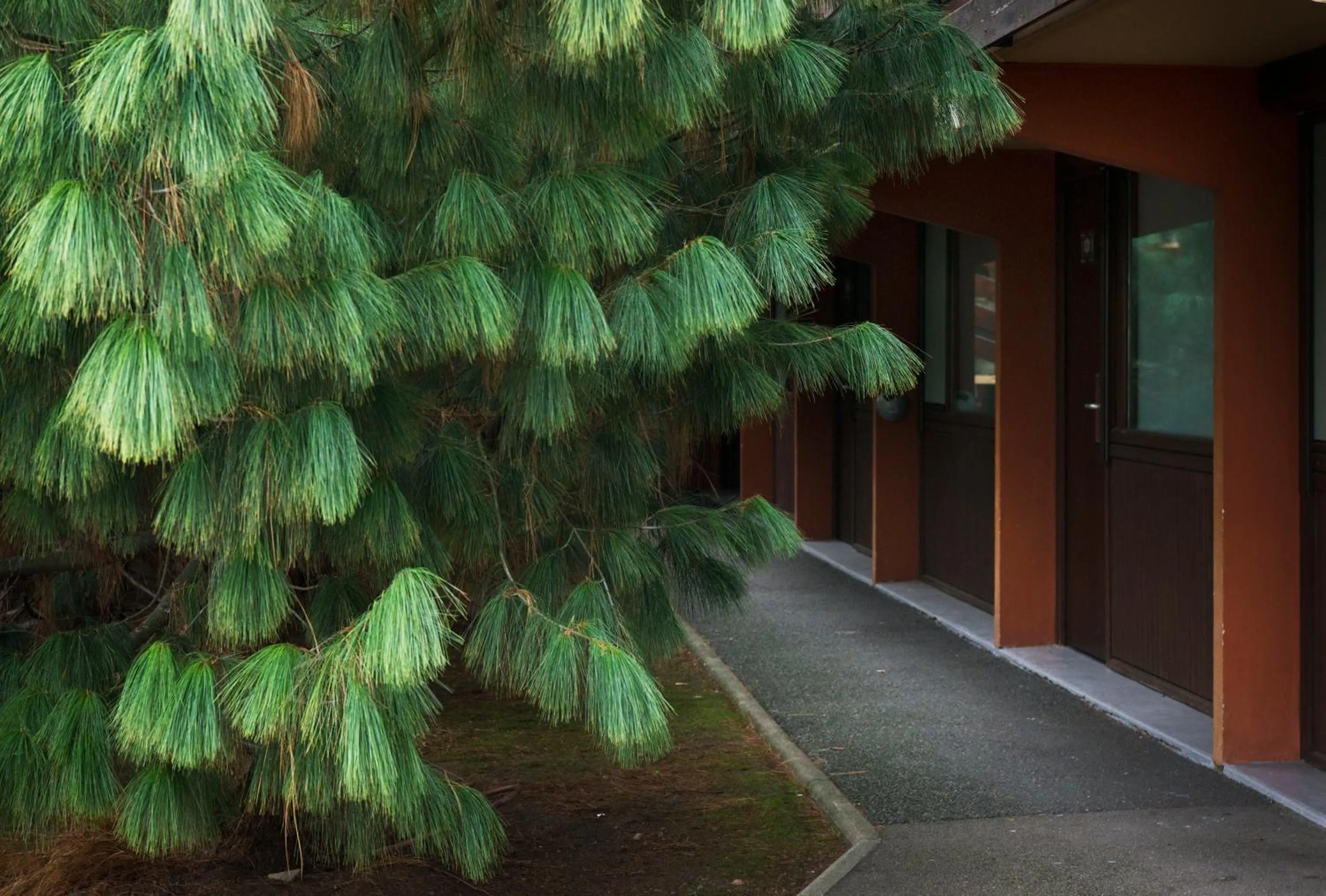 Garden view in Kyriad Direct Roanne Hôtel