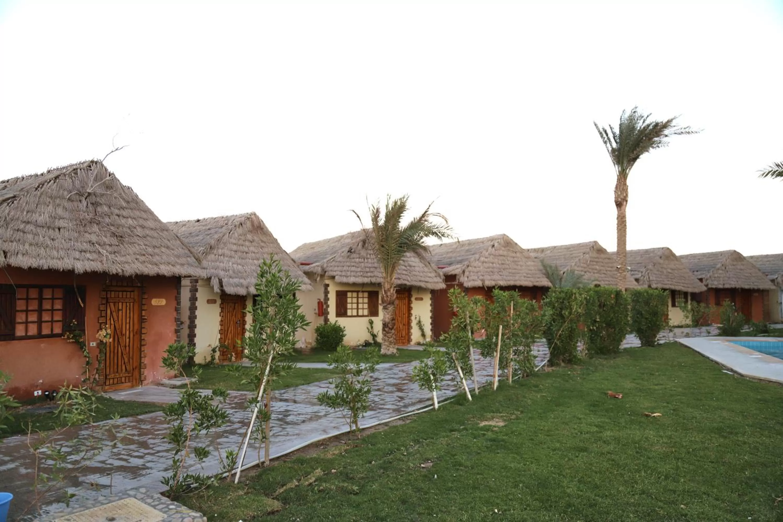 Garden view in Panorama Bungalows Resort El Gouna