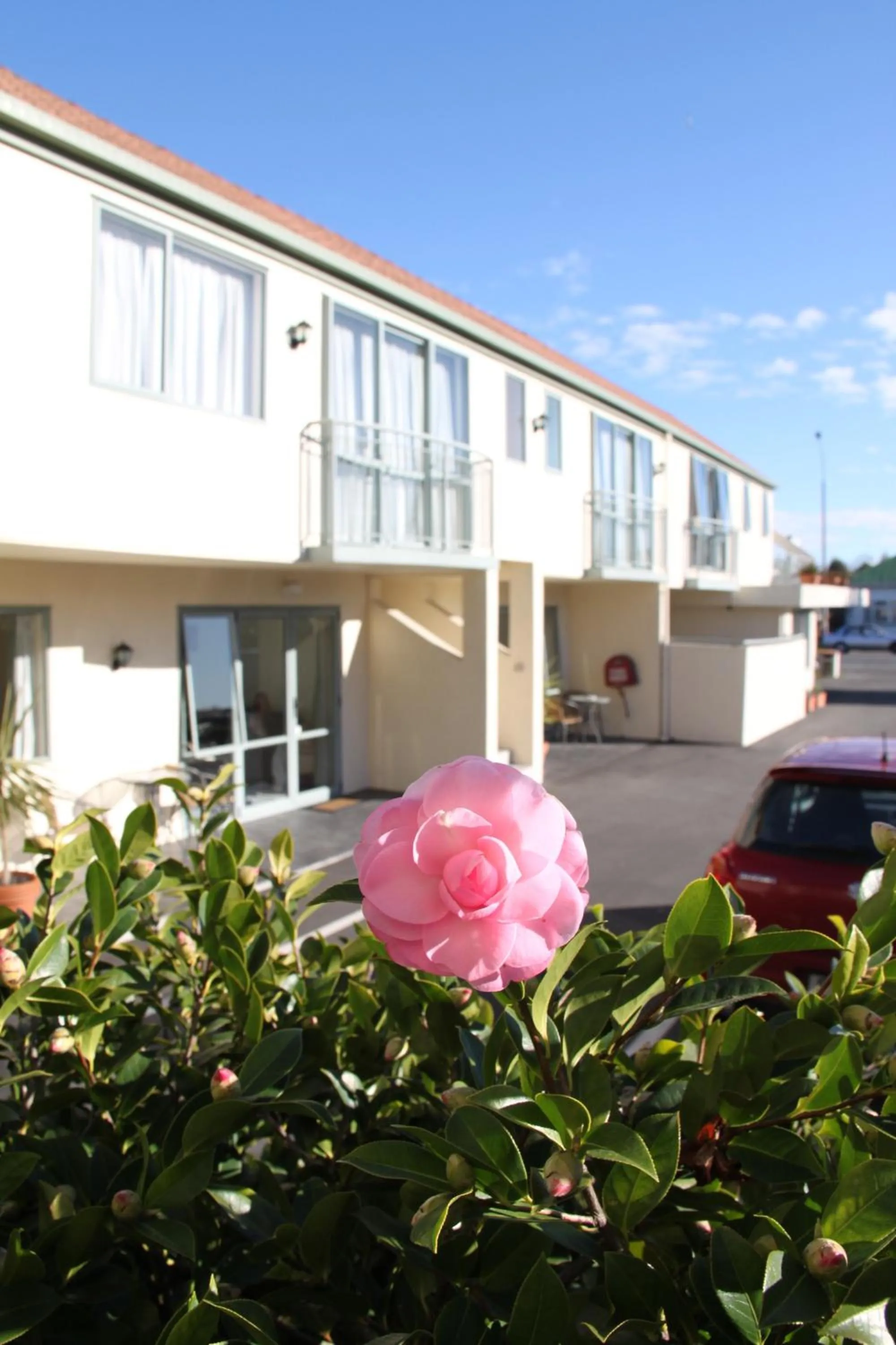 Facade/entrance in Alcala Motor Lodge