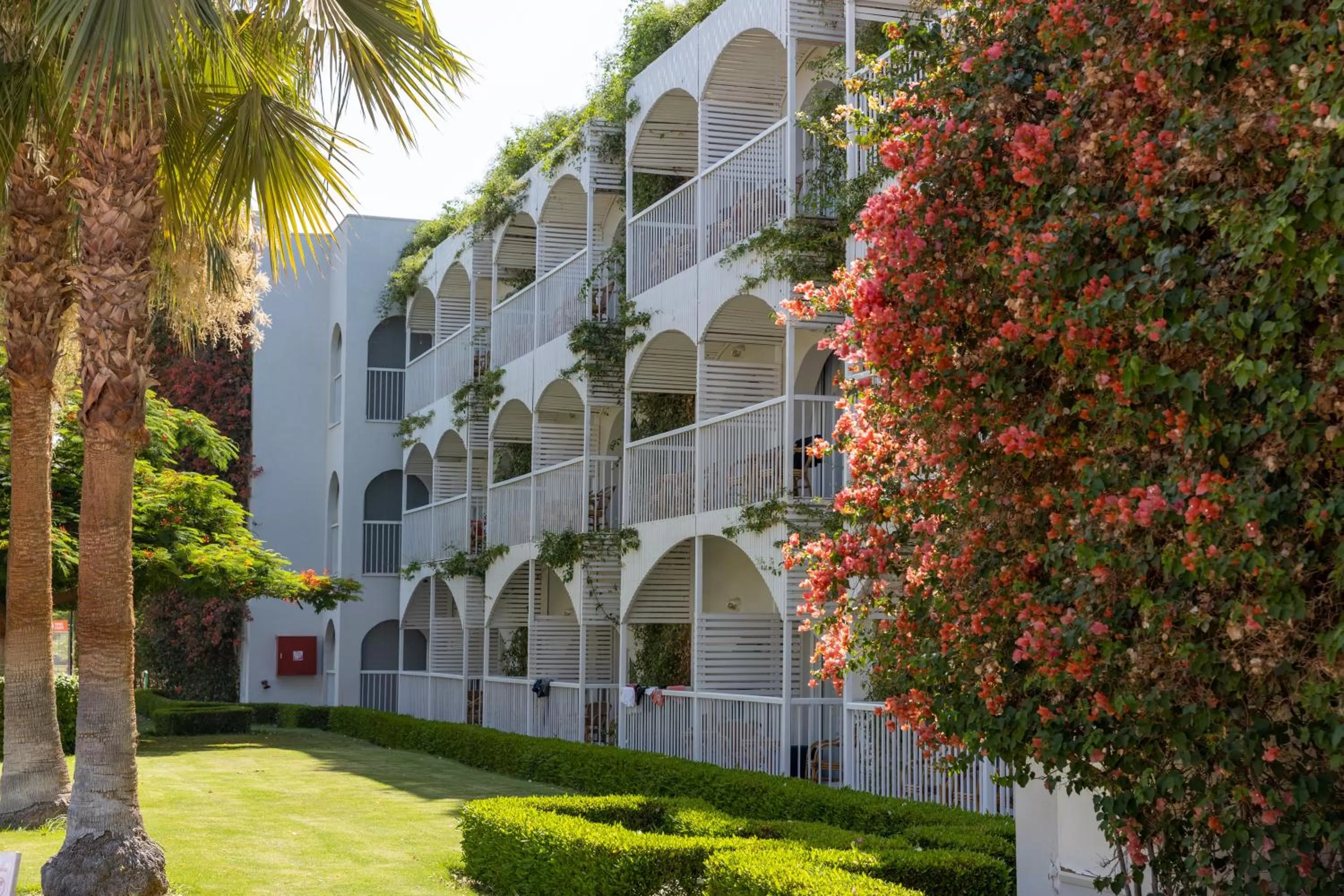 Property building in Desert Rose Resort