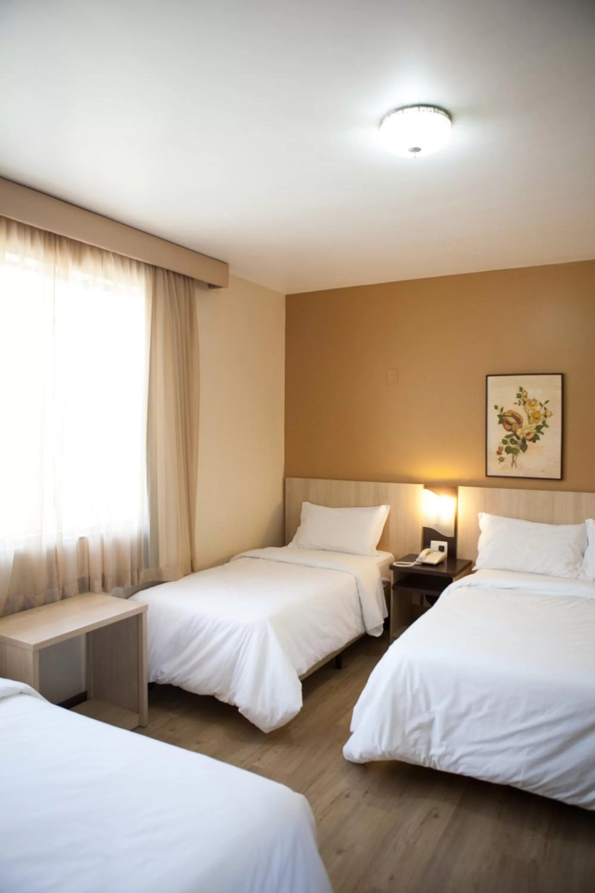 Photo of the whole room in Hotel Palmeiras