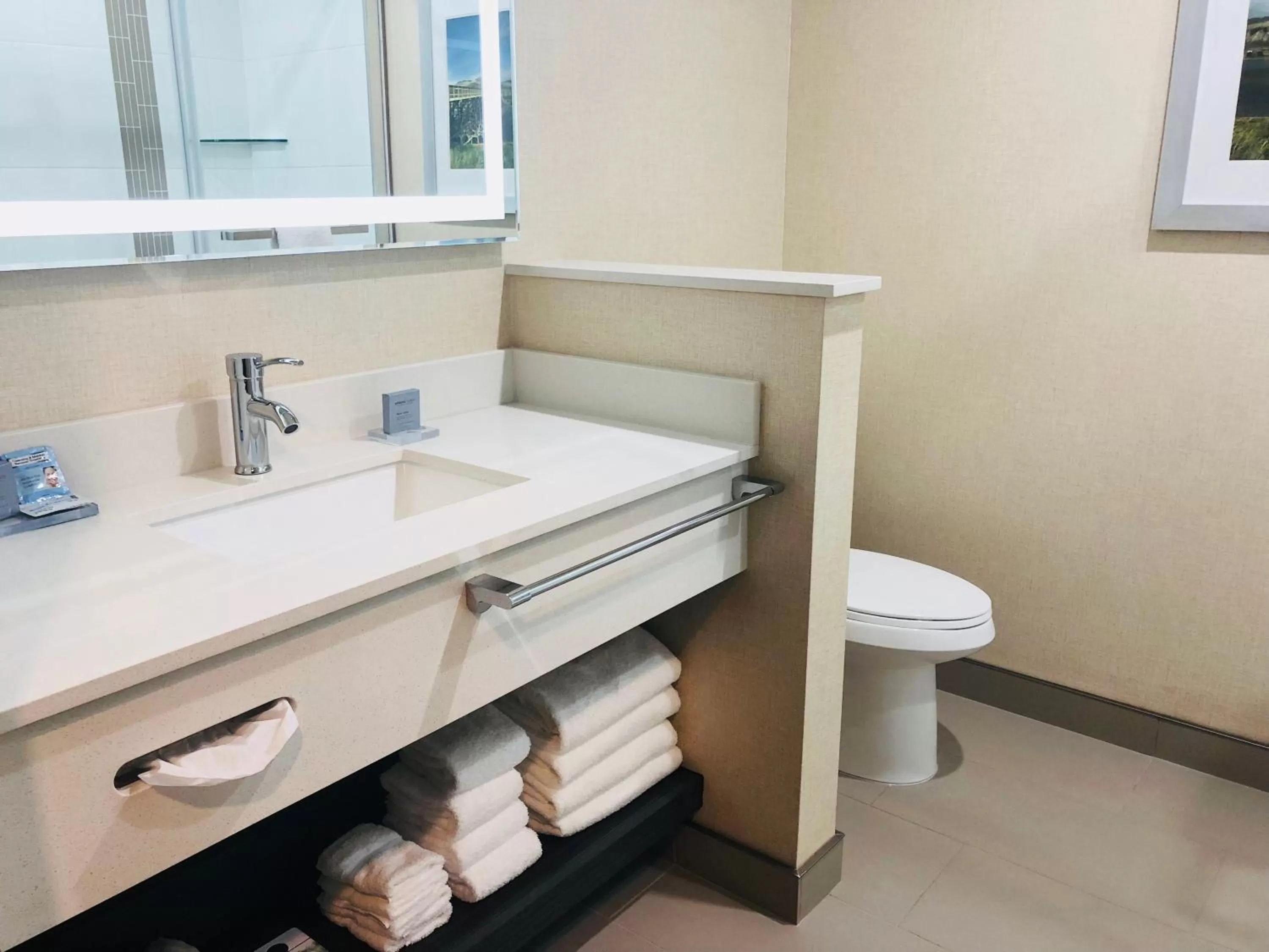 Toilet in Wingate by Wyndham Kamloops