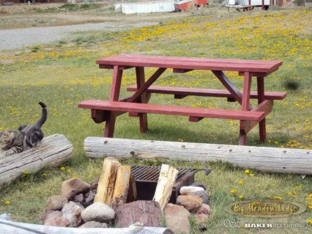 Facade/entrance, Garden in Big Meadow Lodge