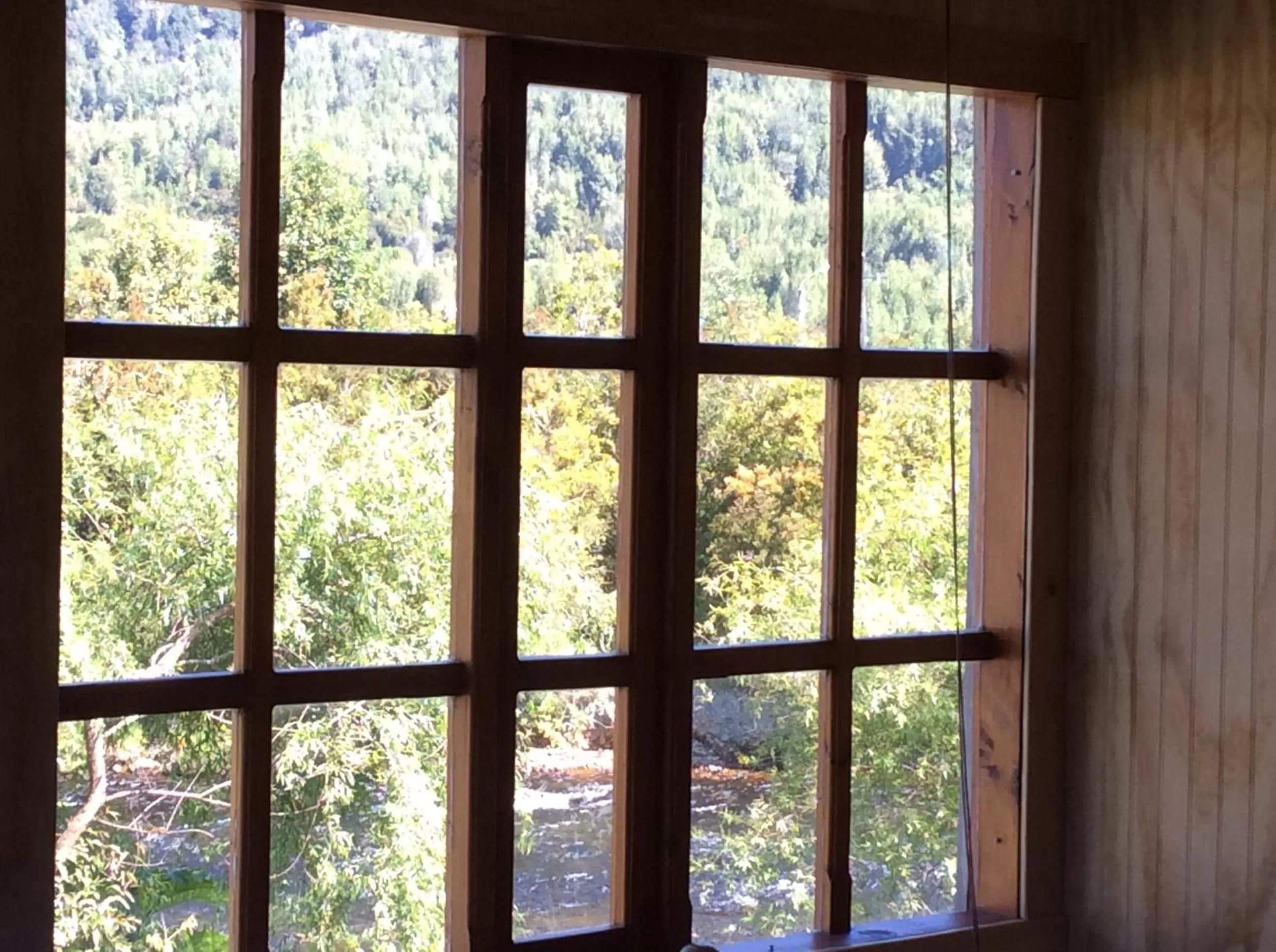 Spring in Los Mañíos Del Queulat Puyuhuapi