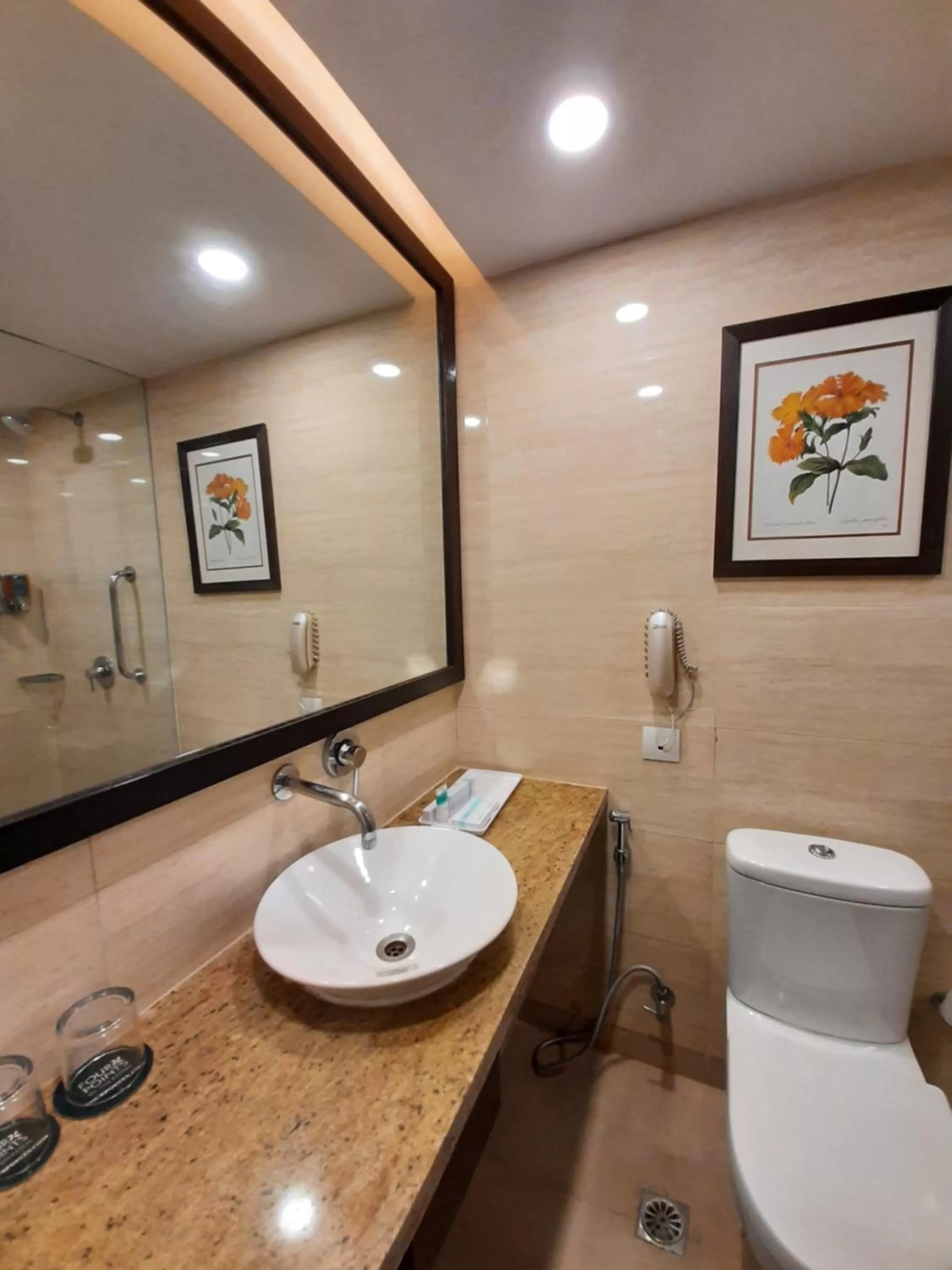 Bathroom in Four Points by Sheraton Vadodara