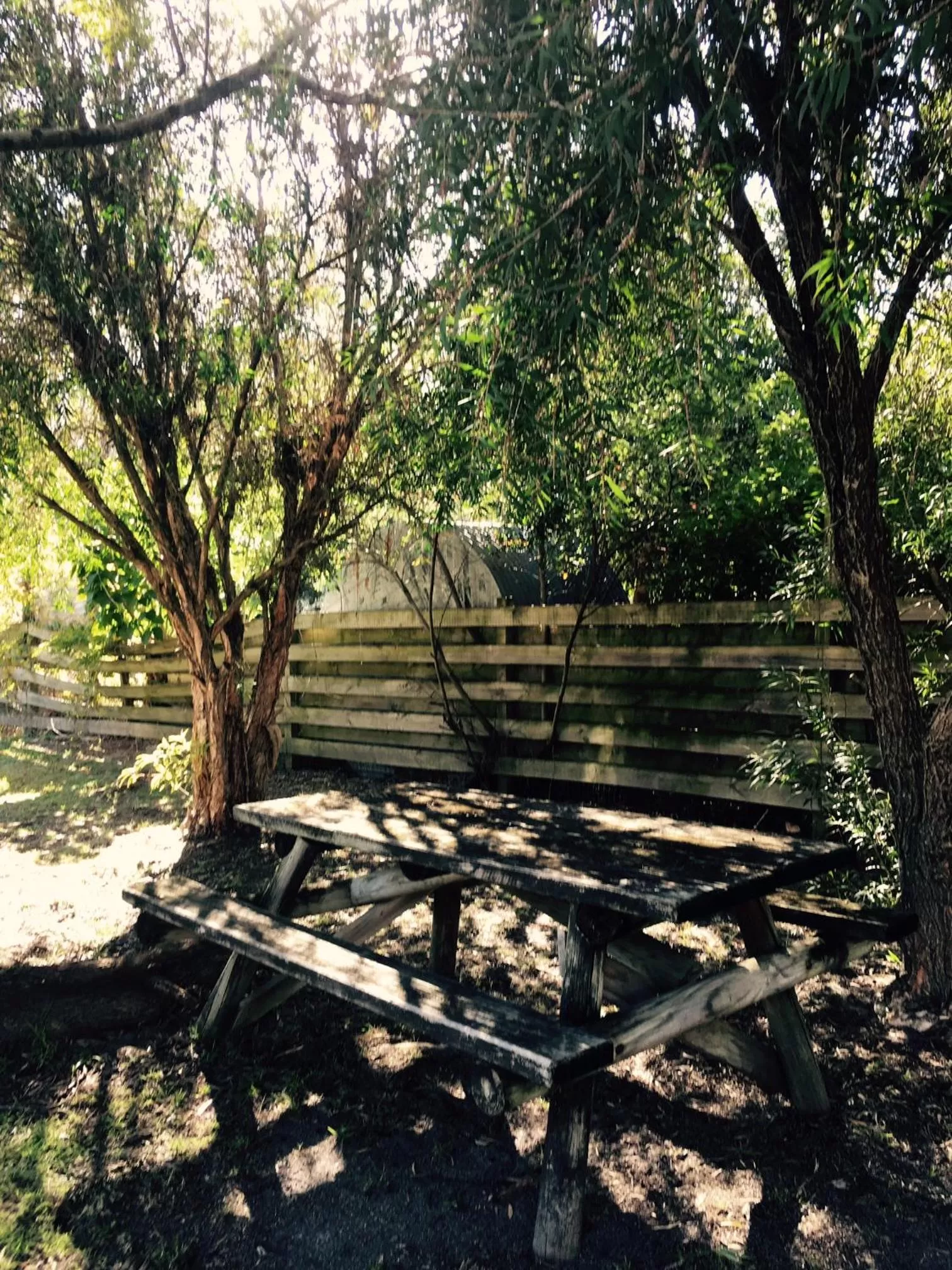 Garden in Fairway Motor Inn