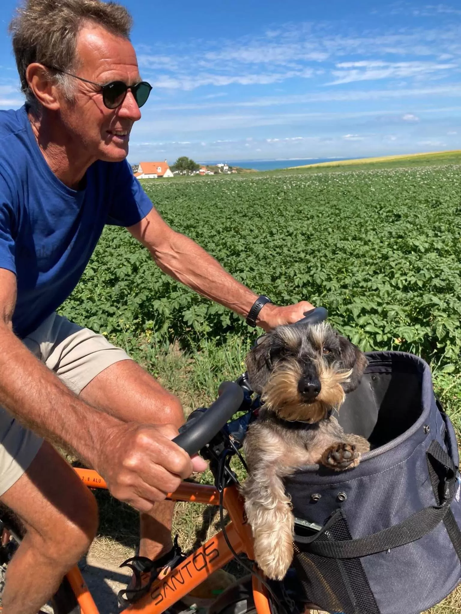 Day in Kasteelhof van Loppem