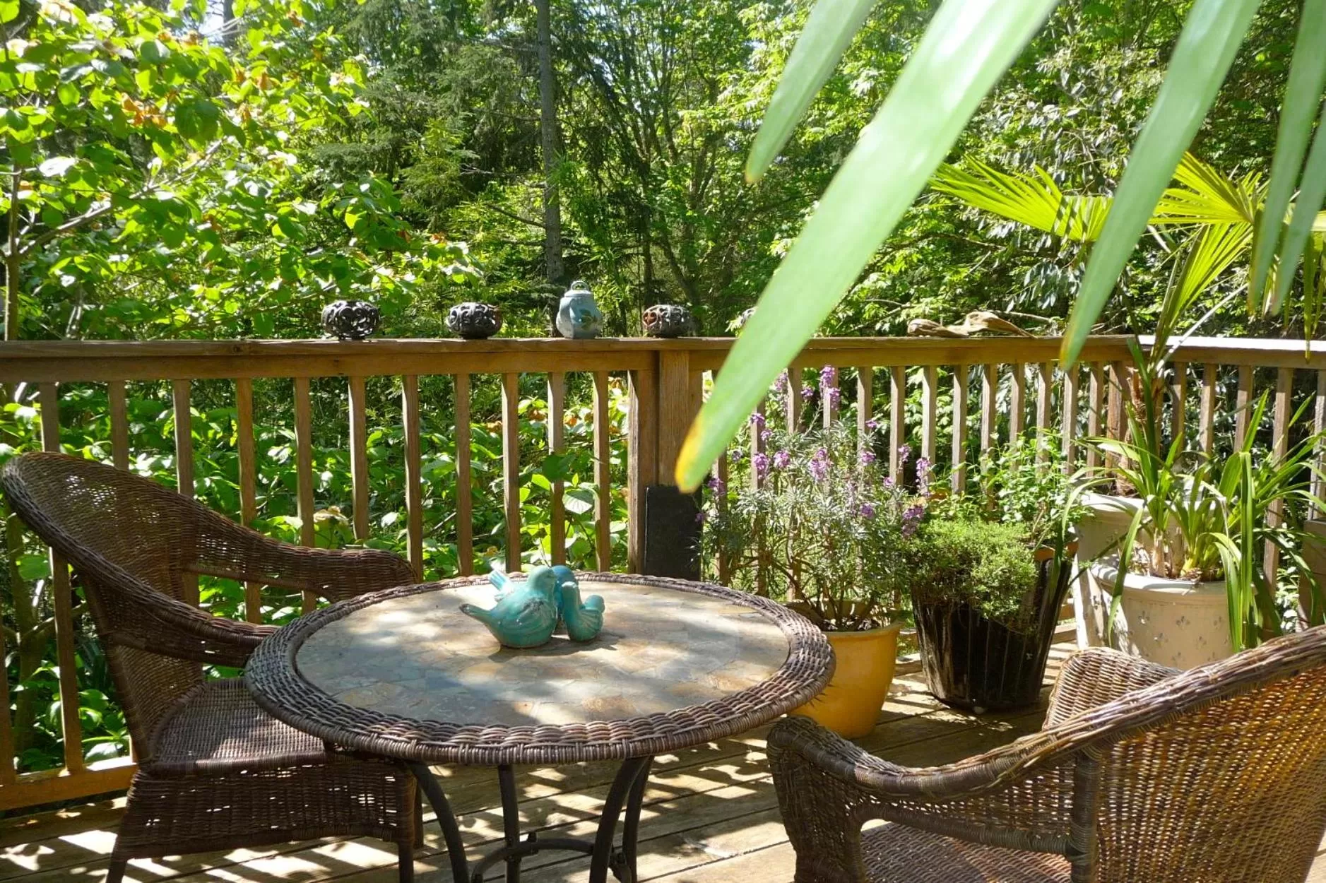 BBQ facilities in Magnolia Petal