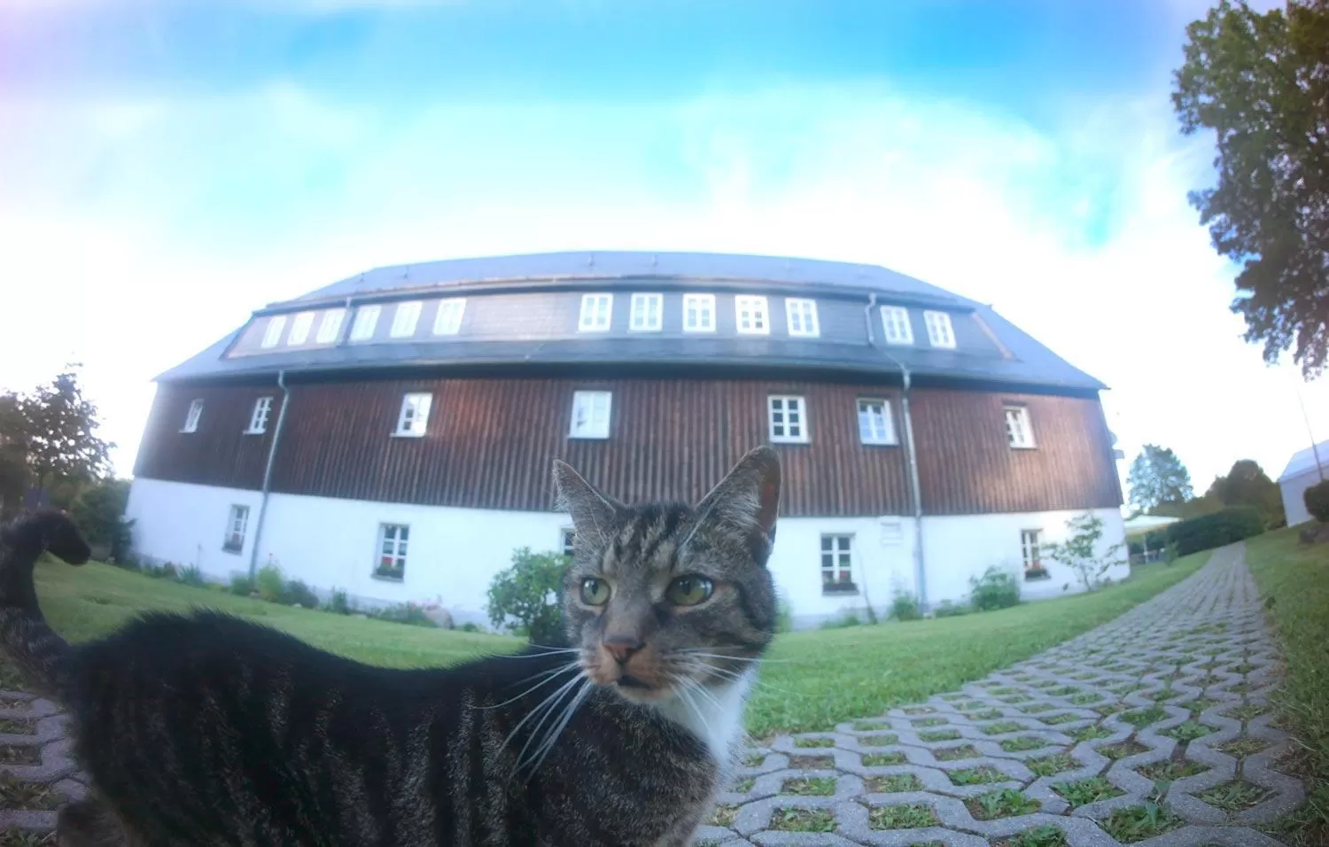 Property Building in Waldgasthof Bad Einsiedel