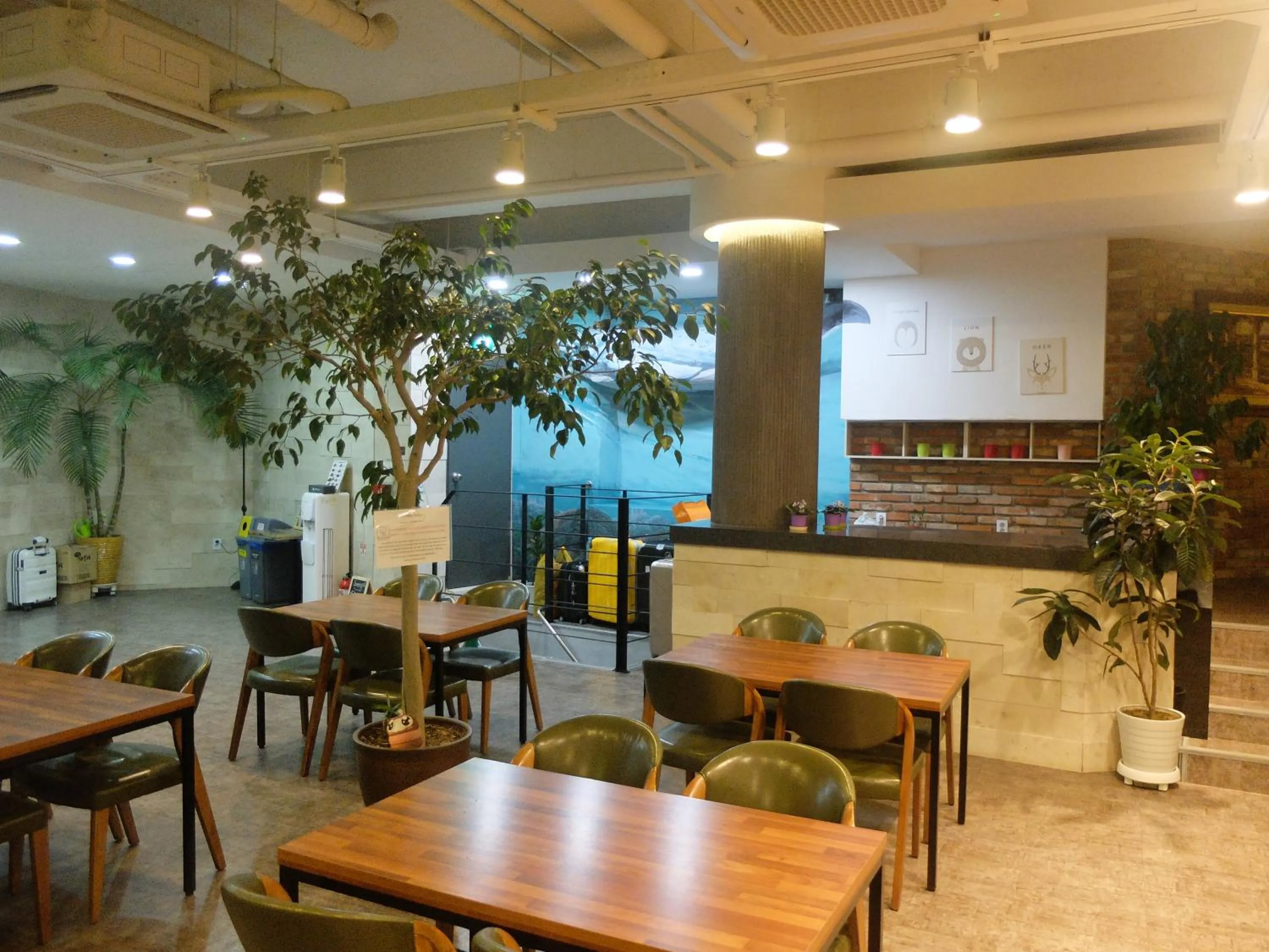Communal lounge/ TV room in Ehwa In Myeongdong