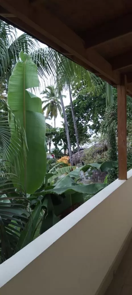 Garden view, Balcony/Terrace in guest house MY WAY