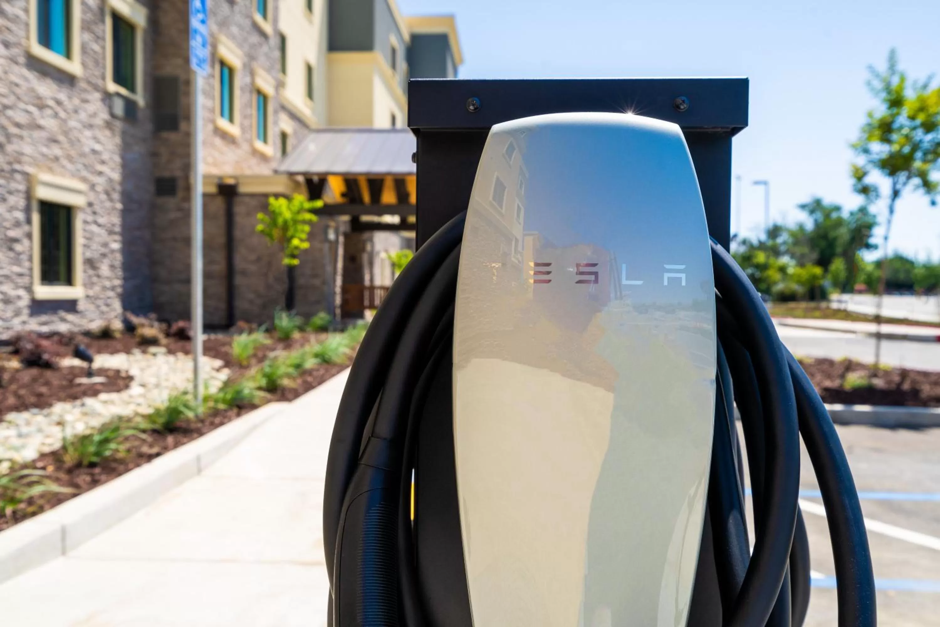 Lobby or reception in Staybridge Suites - Newark - Fremont by IHG