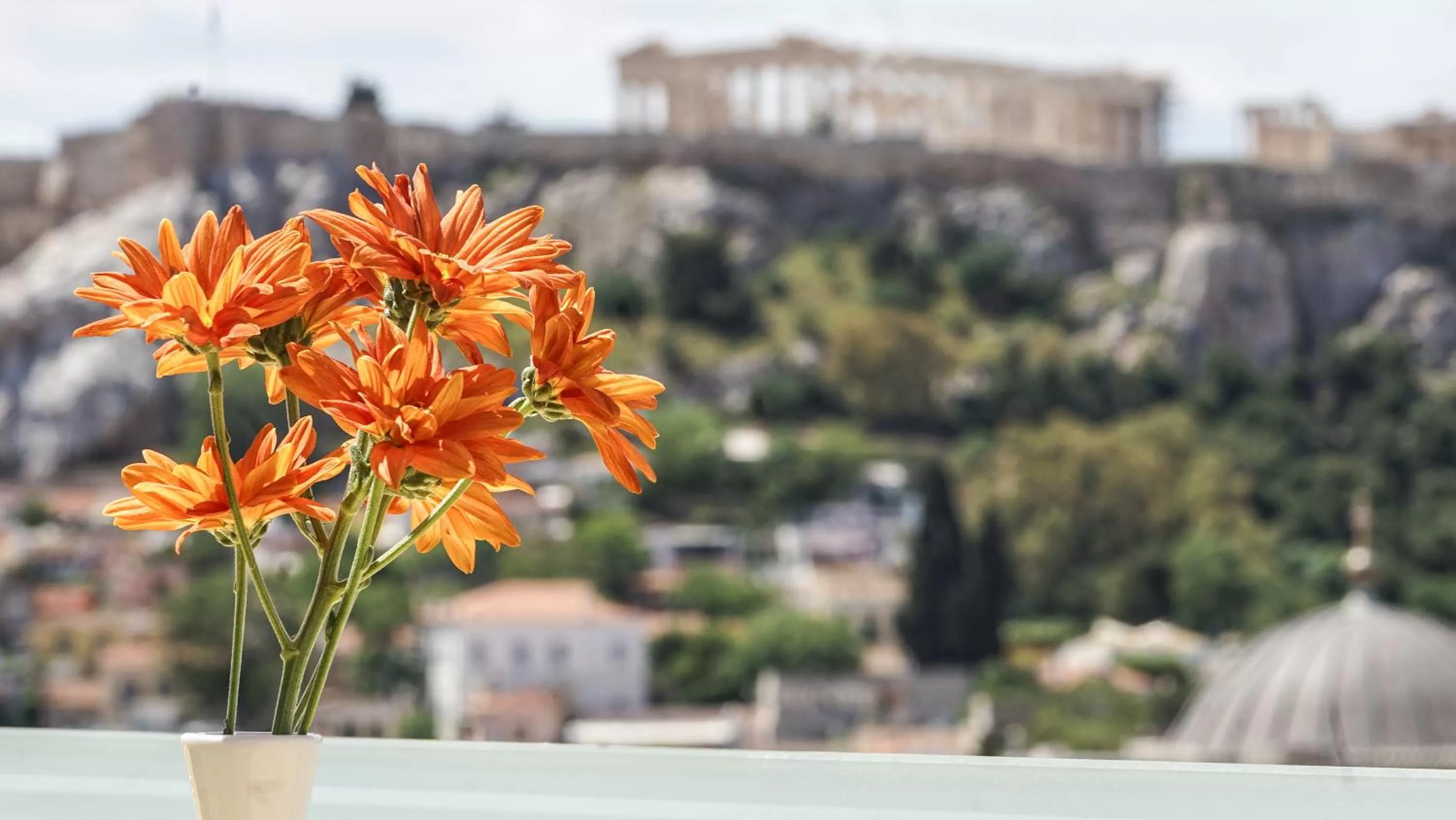 Spring in Athens Cypria Hotel