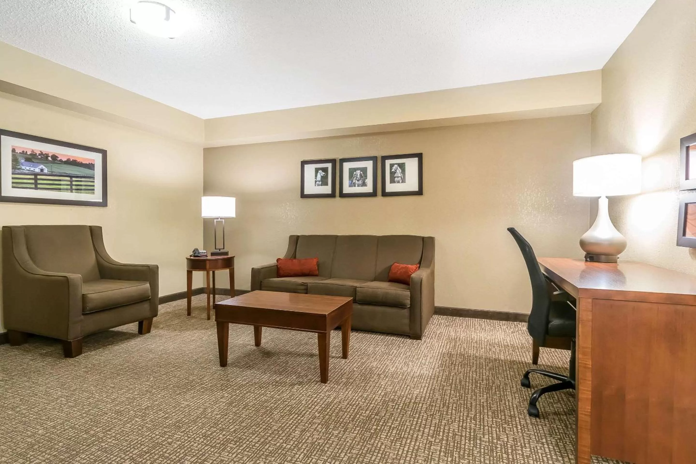 Photo of the whole room in Comfort Inn & Suites Lexington - Hamburg I-75
