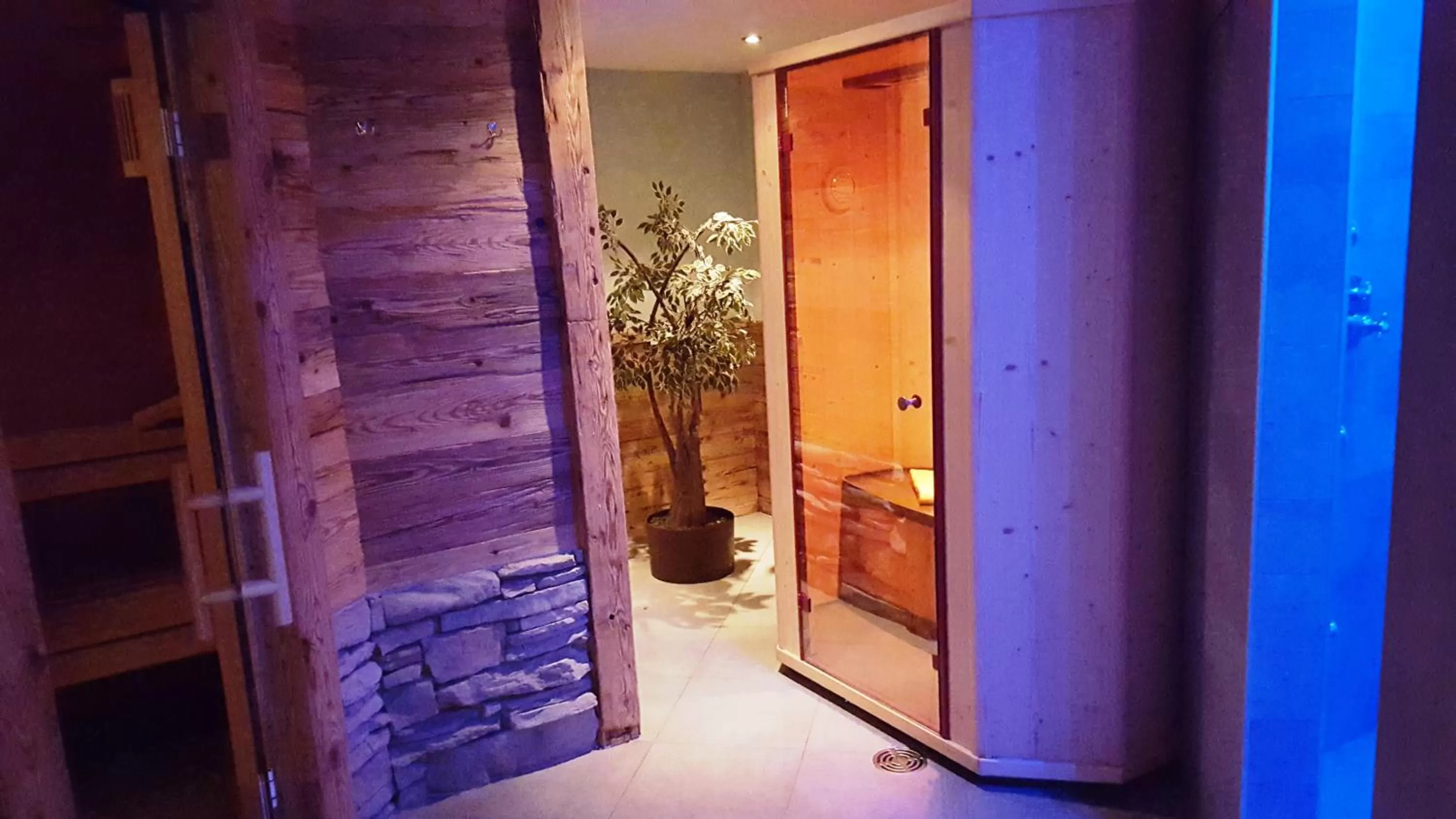 Sauna in Hotel Europa