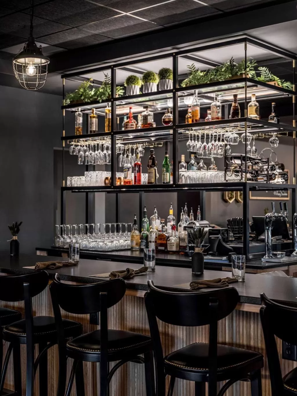 Lounge or bar in The Federal