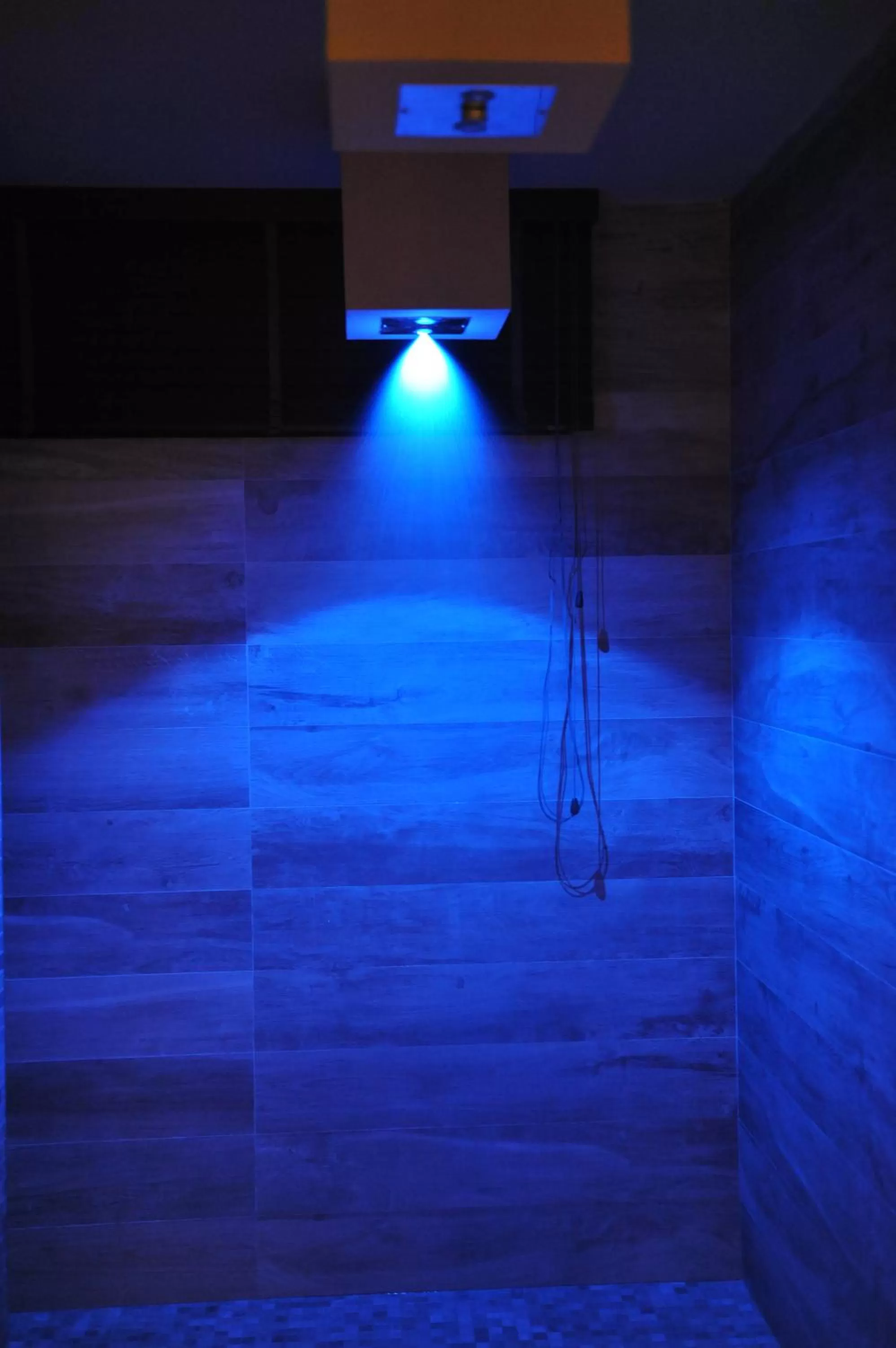 Spa and wellness centre/facilities in Hotel Casali