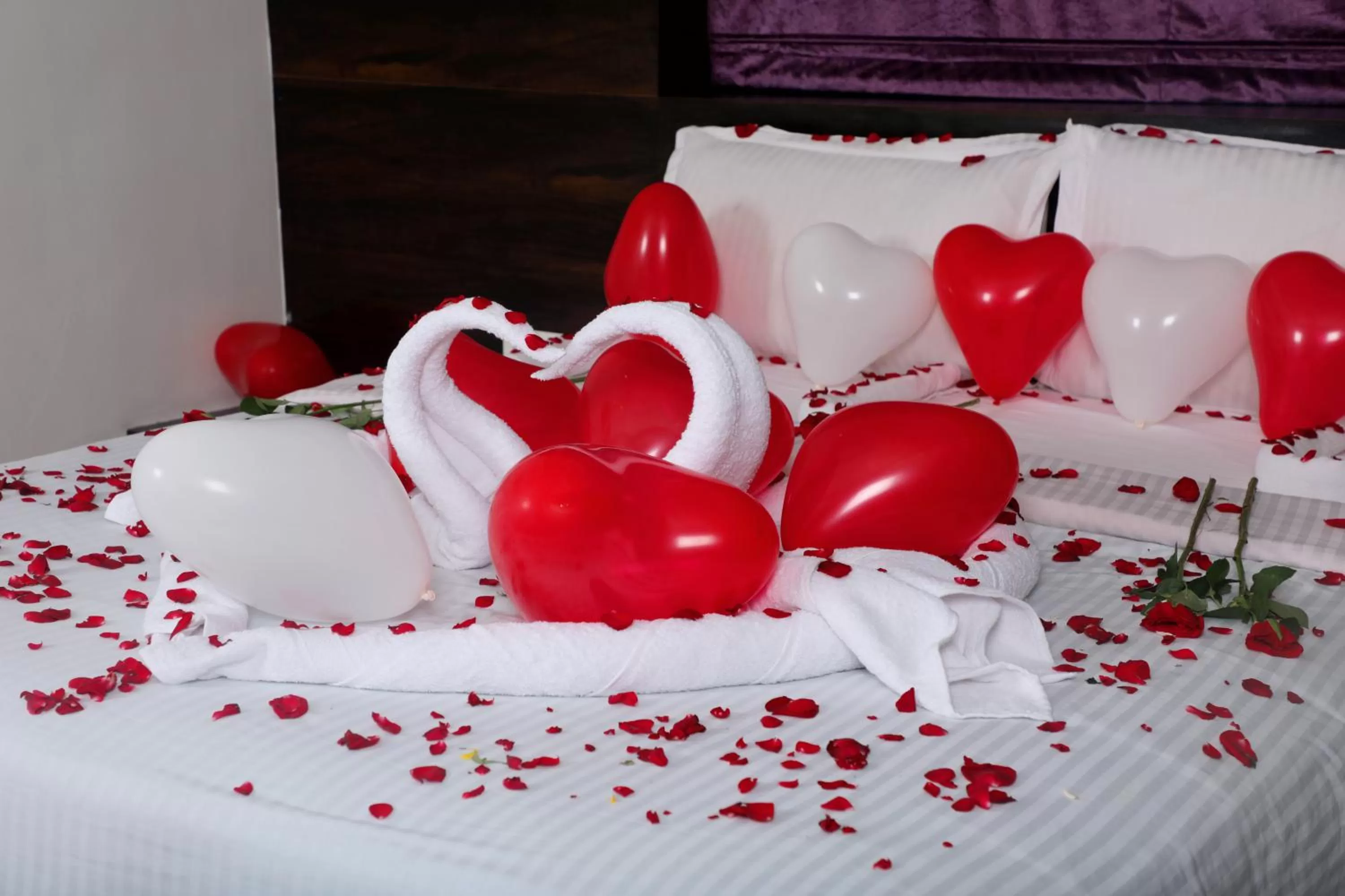 Photo of the whole room in Hotel Planet Four