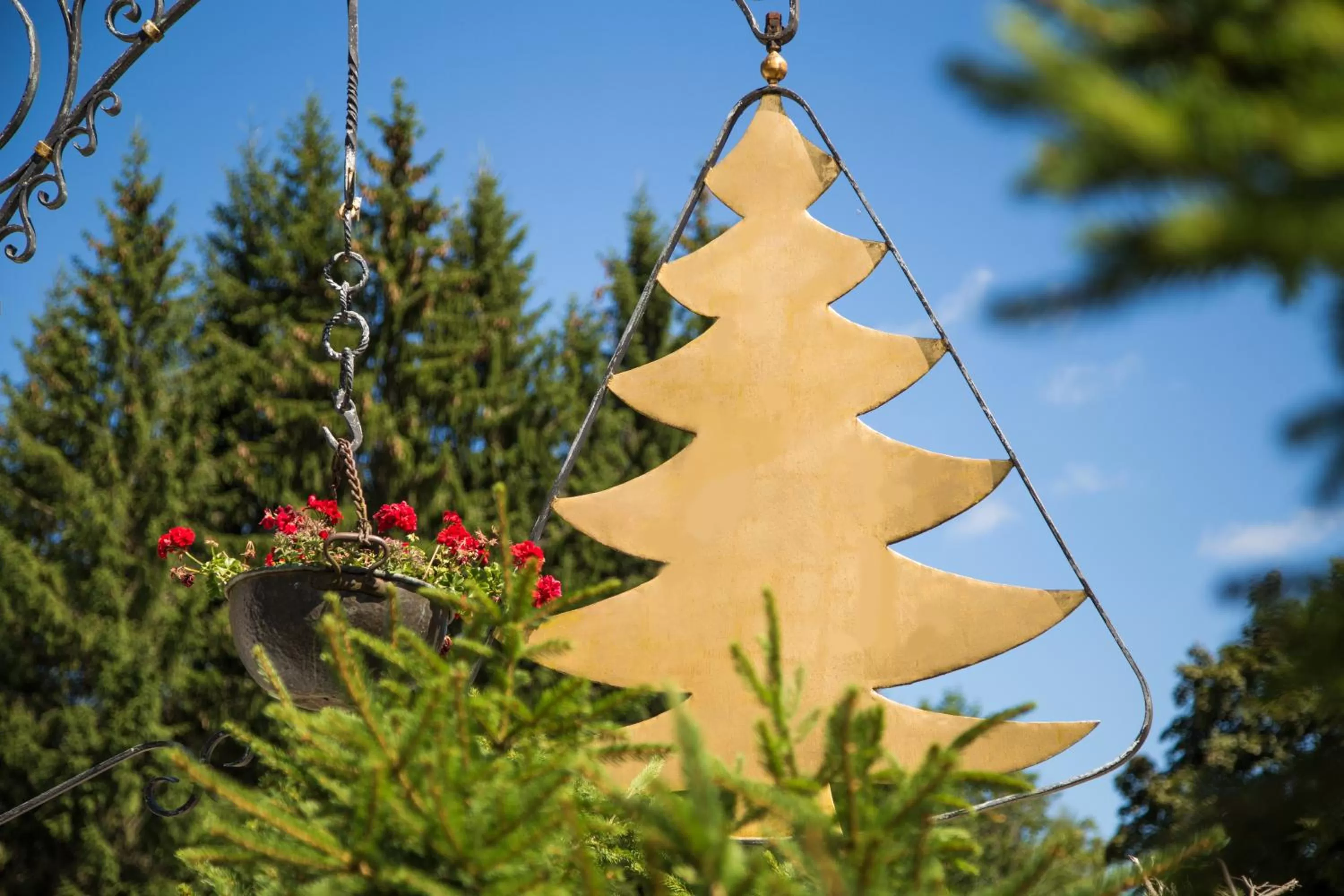 Day in Kaisers Tanne - Premium Alles Inklusive Hotel