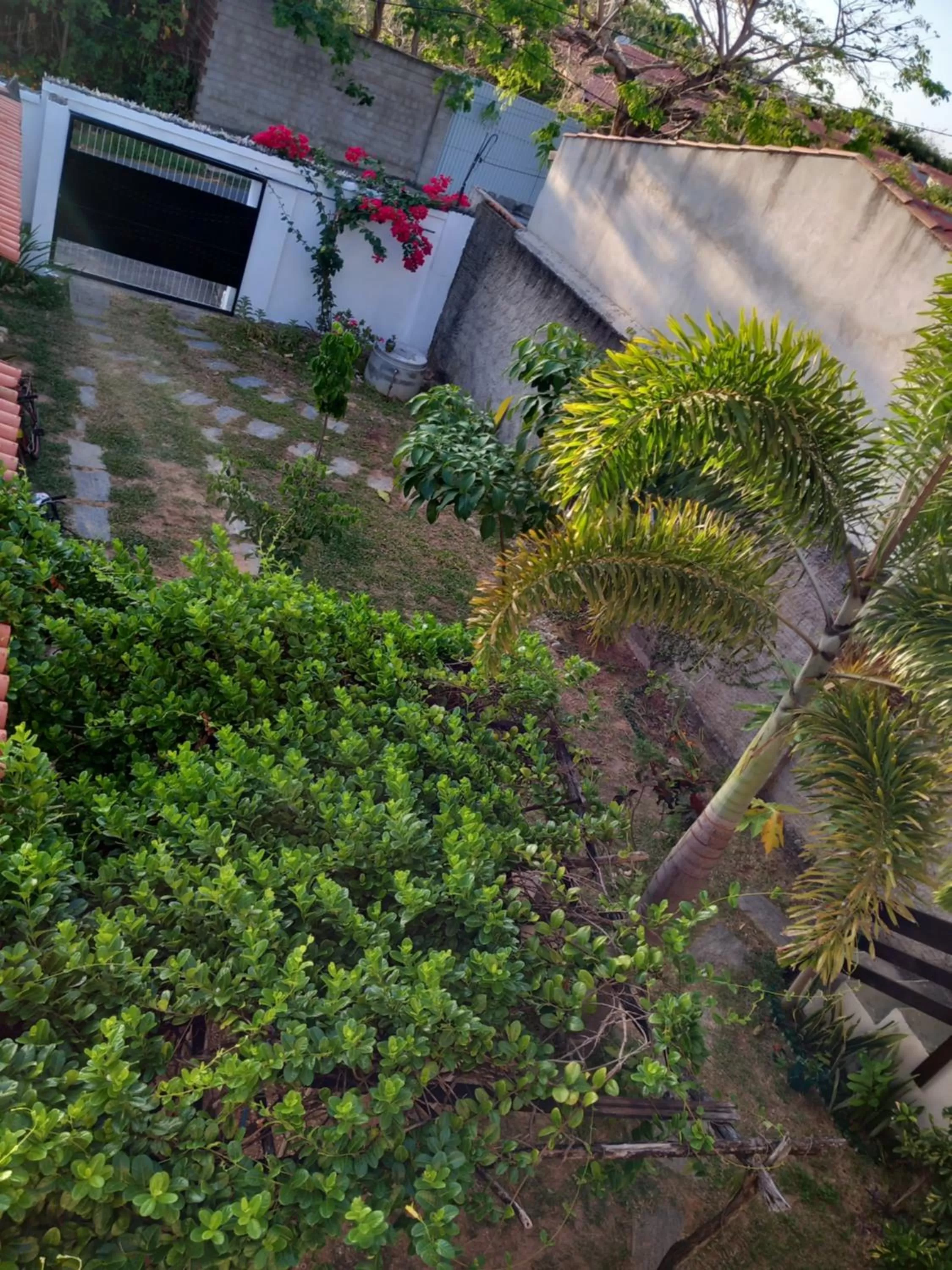 Inner courtyard view in B&B Pedra do Meio