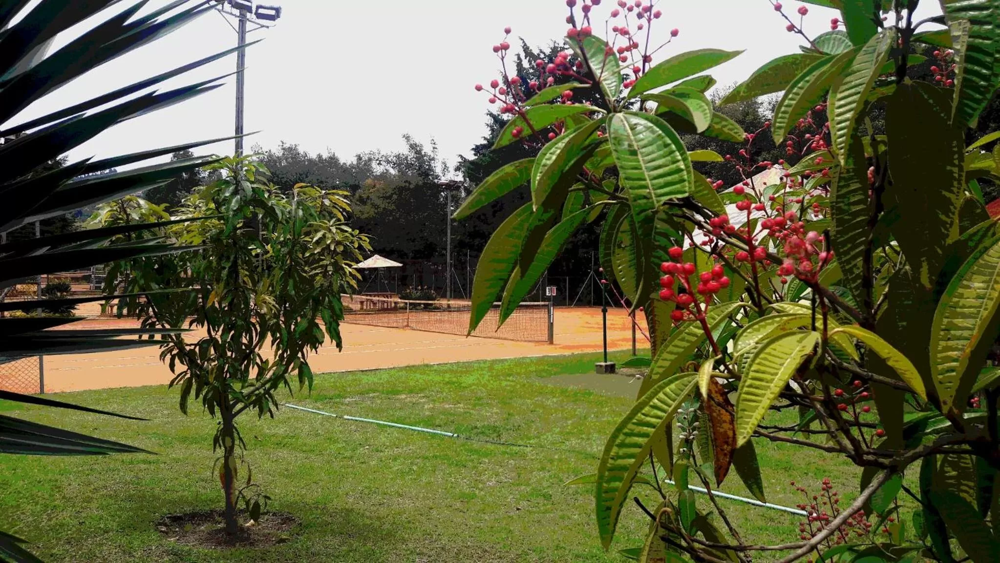 Garden in ALTO LODGING Centro de Entrenamiento Deportivo y Negocios, a 2 pasos del Aeropuerto JMC, Transporte Incluido