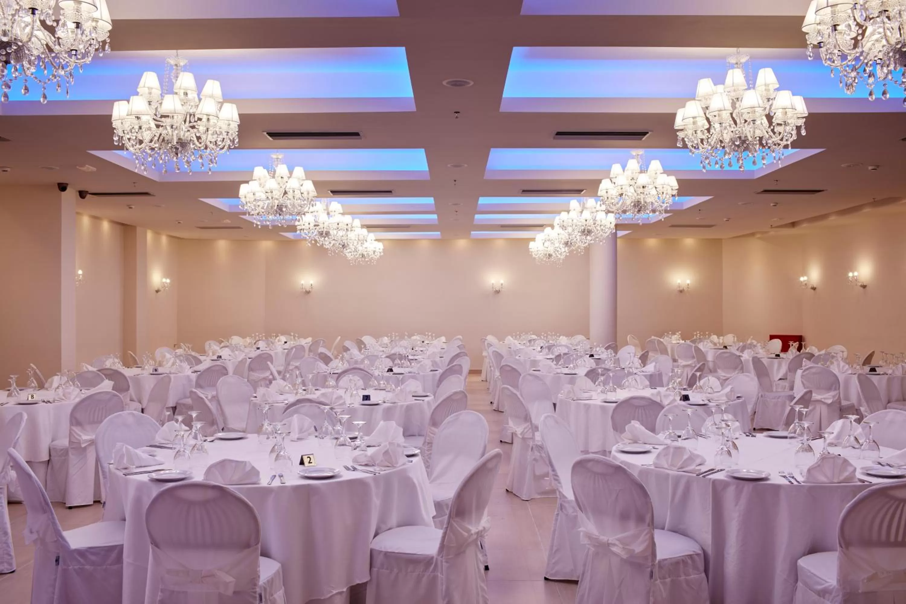 Banquet/Function facilities in Aar Hotel & Spa Ioannina