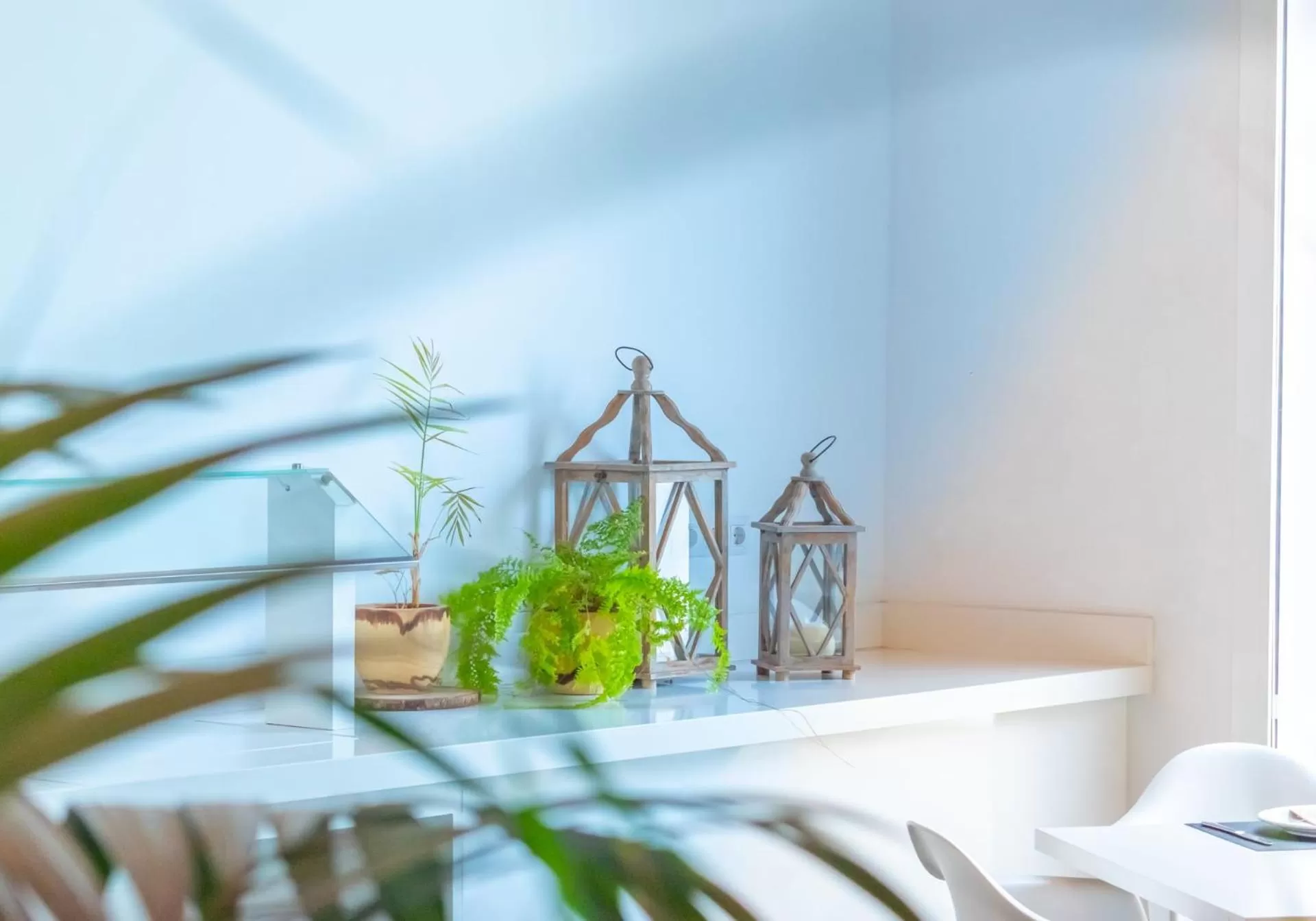 Restaurant/places to eat in Hyde Park Lane