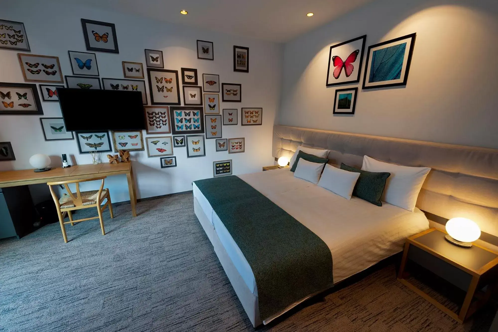 Standard Queen Room - single occupancy in Donautica Hotel & Restaurant Standard Queen Room - single occupancy in Donautica Hotel & Restaurant