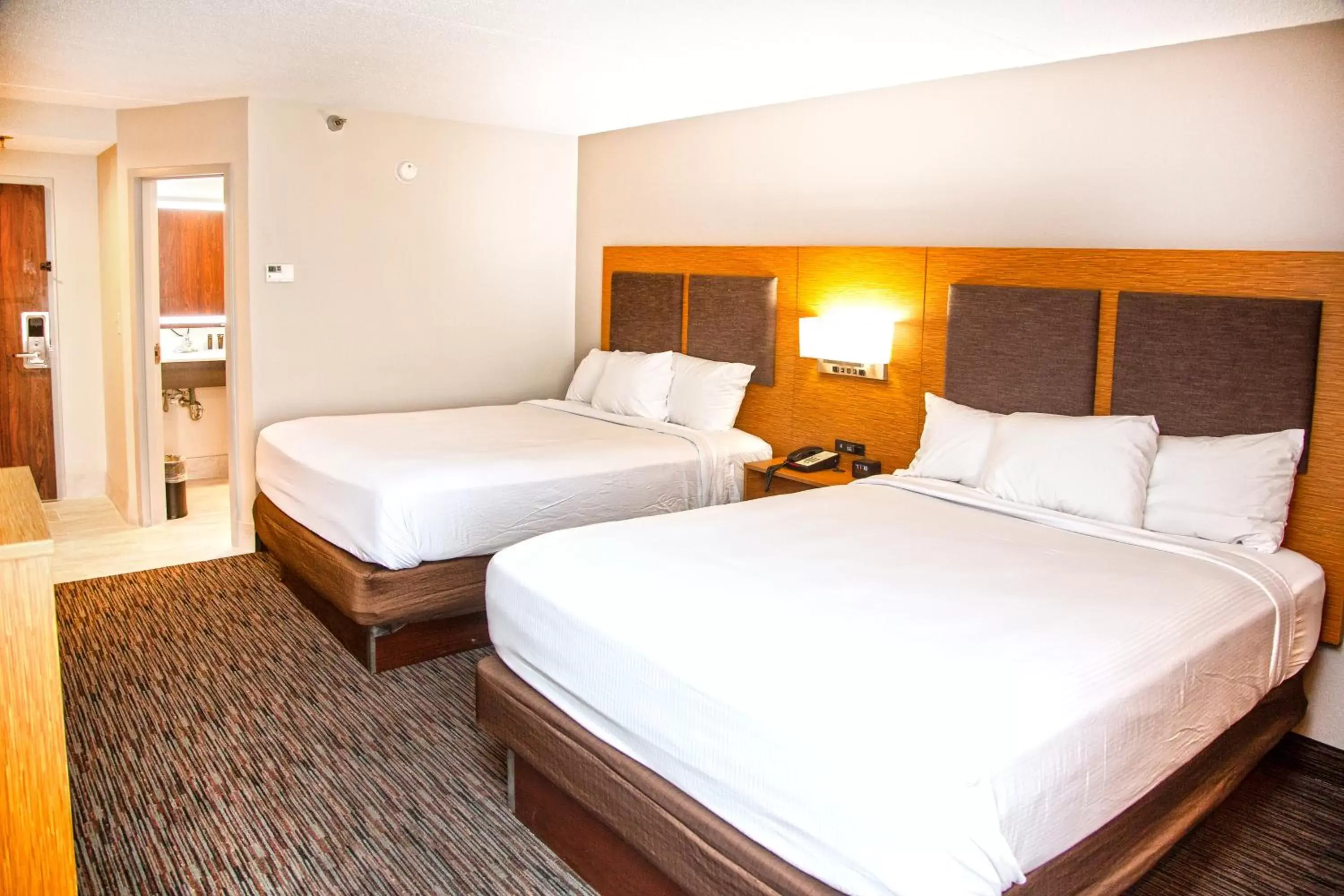 Studio with 2 Queen Beds - Non-Smoking in MainStay Suites Springfield IL Studio with 2 Queen Beds - Non-Smoking in MainStay Suites Springfield IL