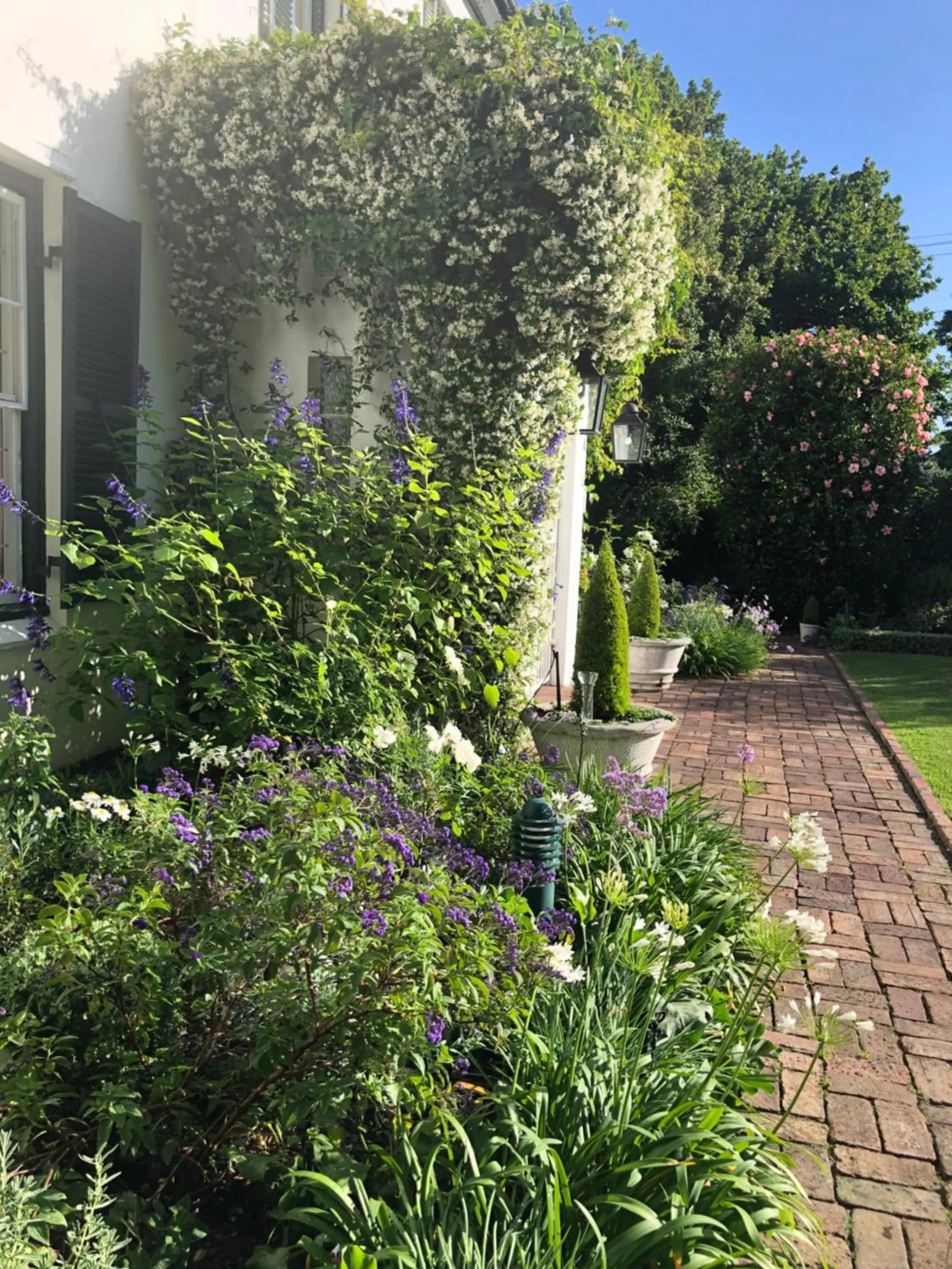 Garden in Sandown Lodge