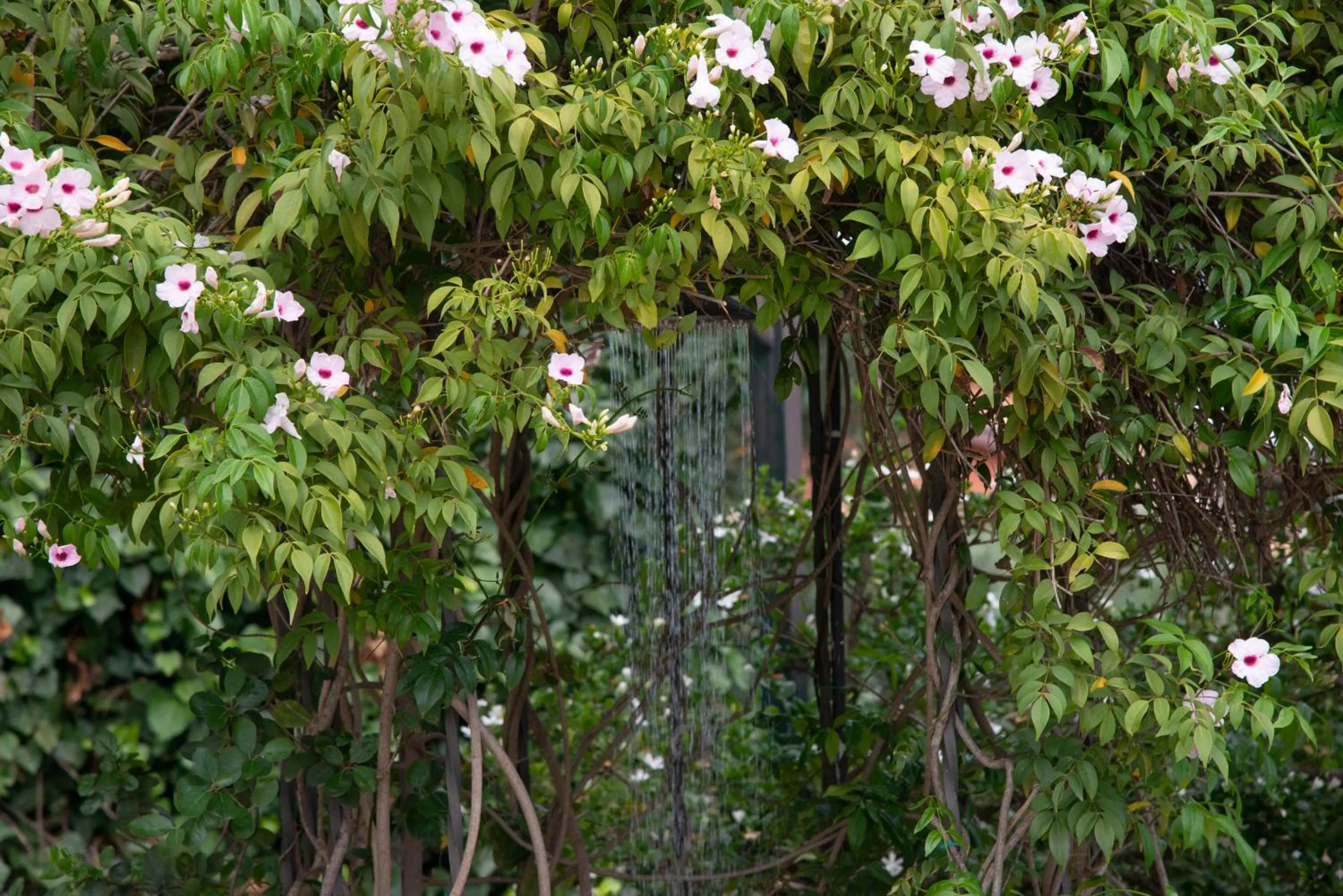 Swimming pool in Boutique Villa Etna d'A'mare