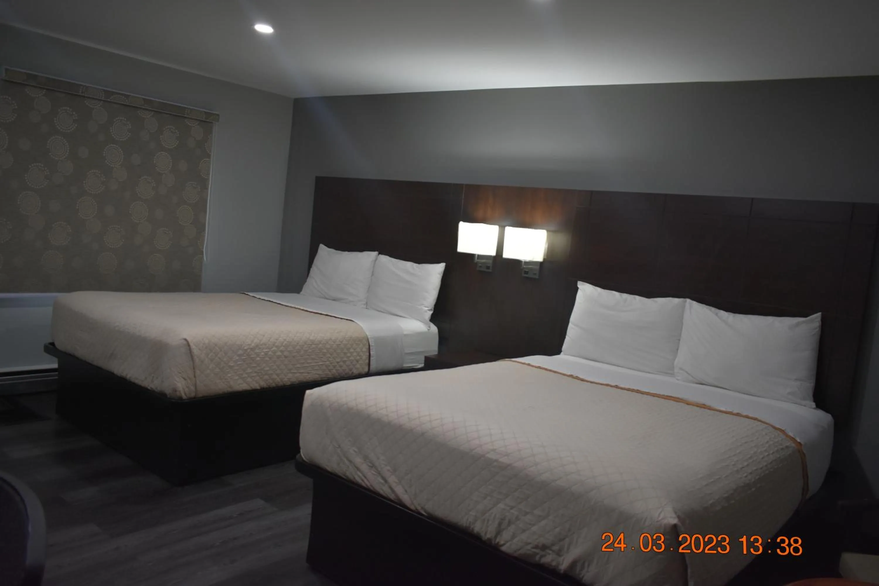 Bed in Time Travellers Motel