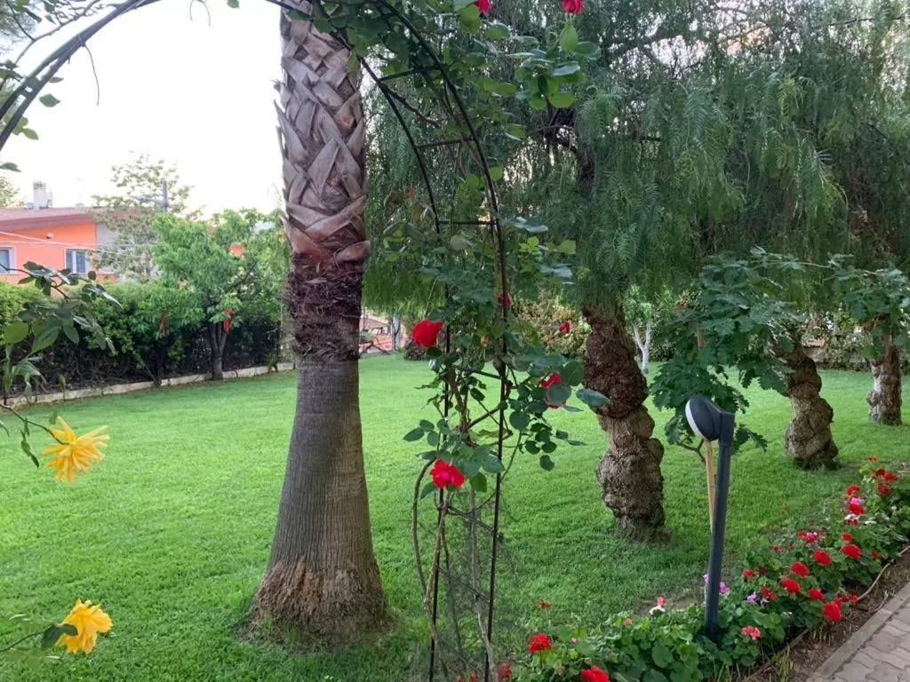 Garden in B&B The Garden