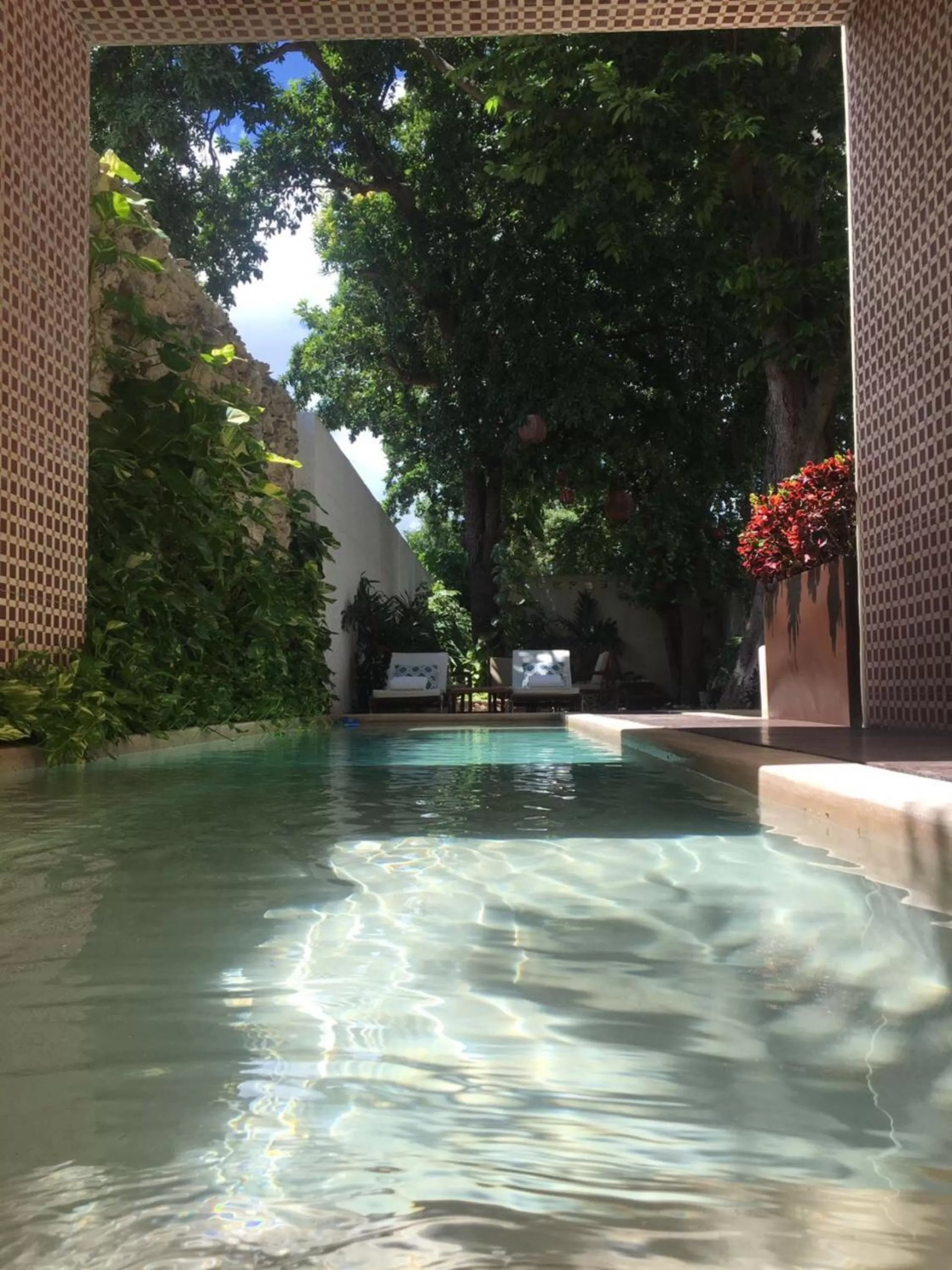 Swimming pool in Casa Italia Luxury Guest House - Adults Only