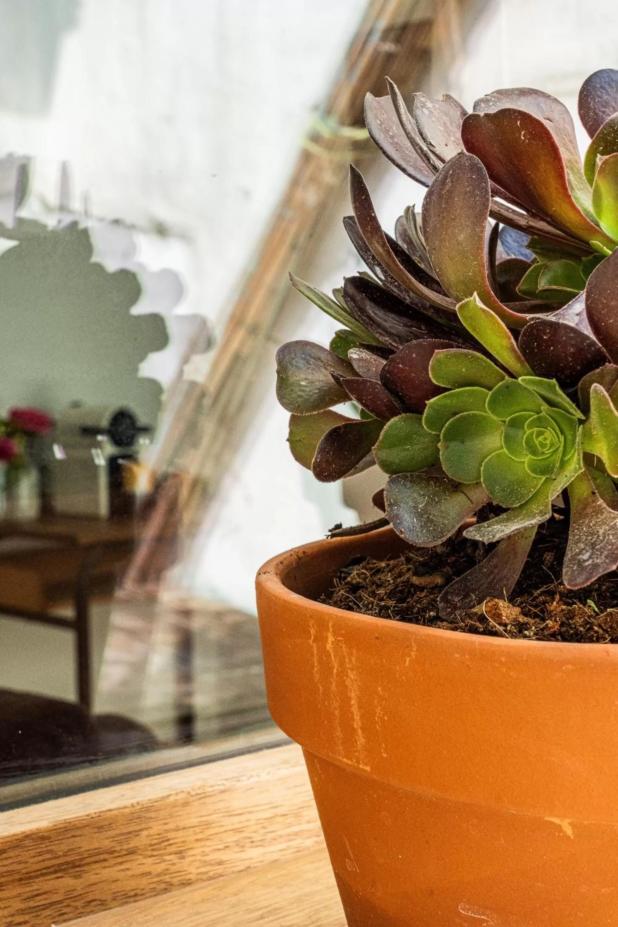 Food in Maison Arthur