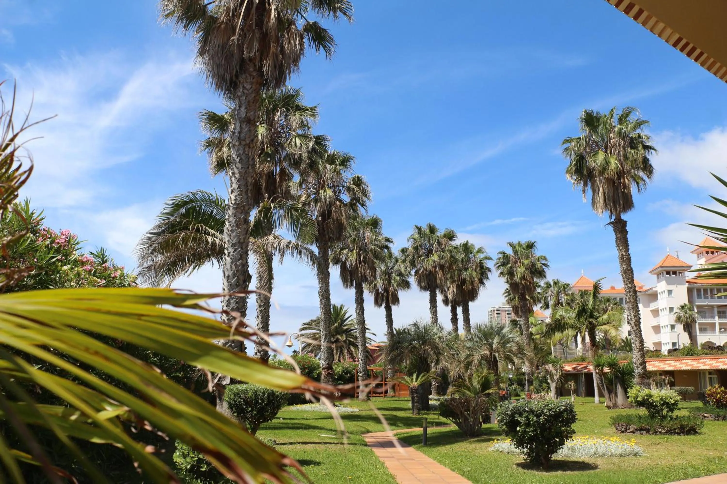Garden in The Views Oasis