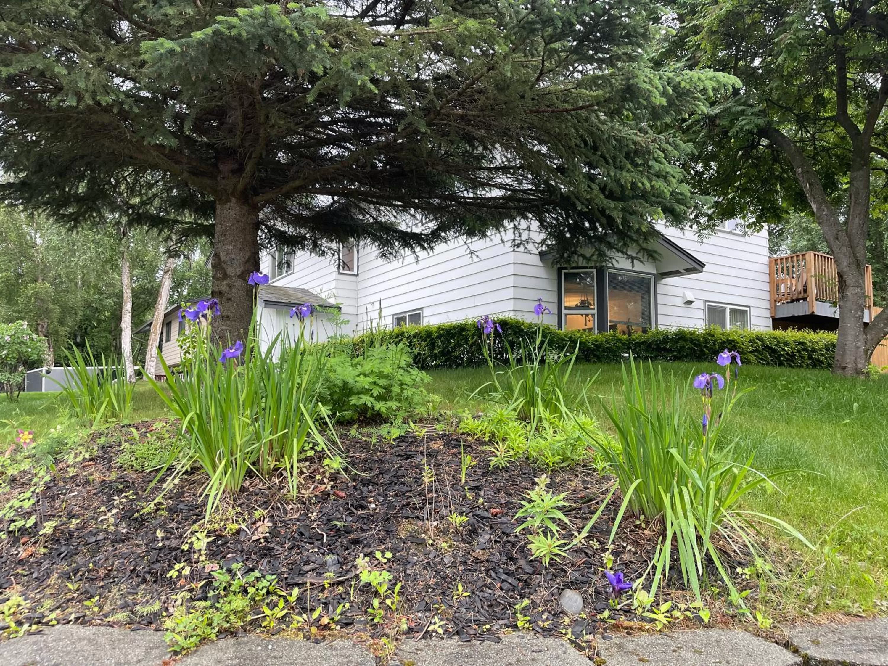 View (from property/room) in SunStar Alaska Bed and Breakfast LLC