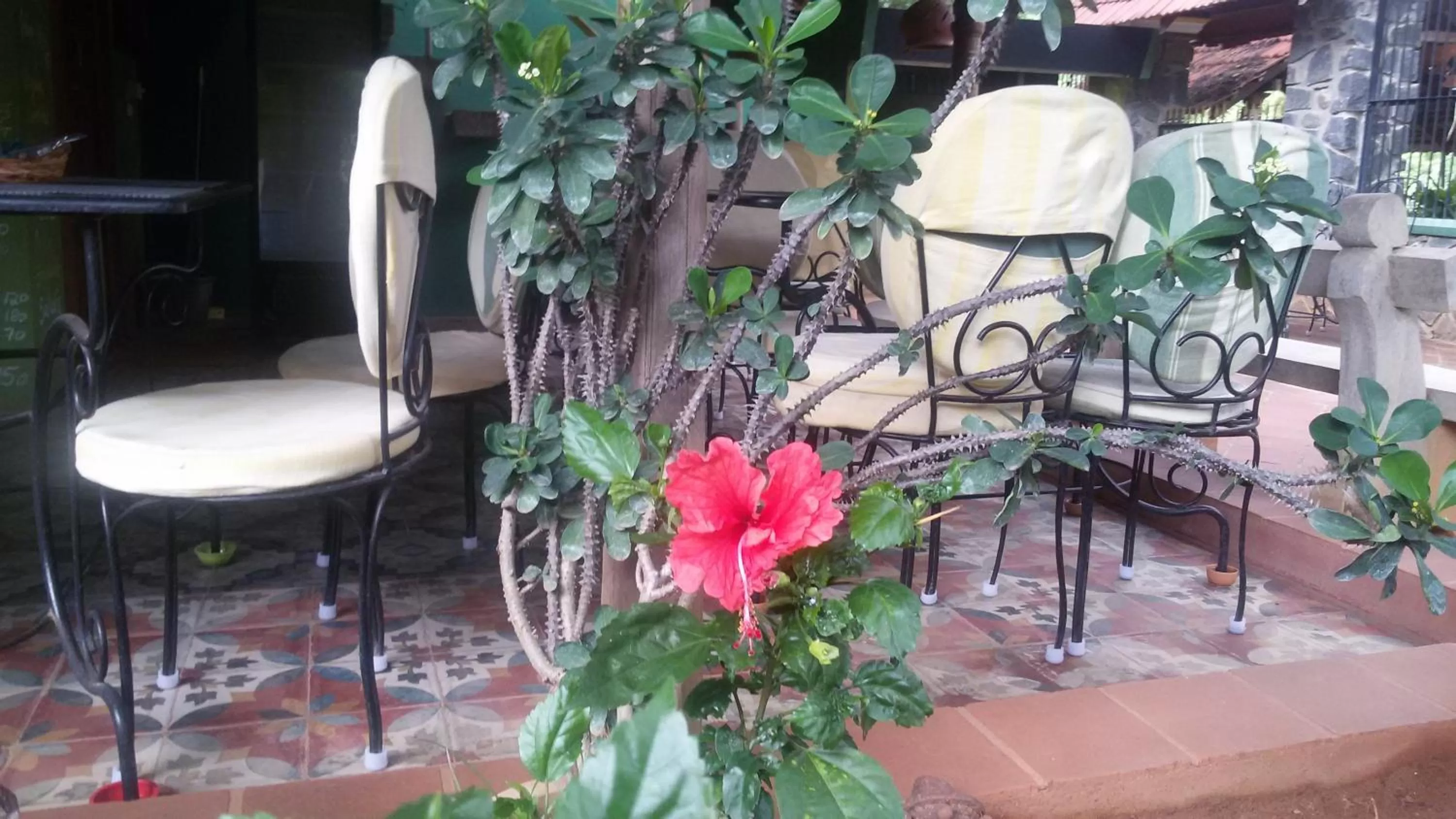 Restaurant/places to eat in Green's Guest House