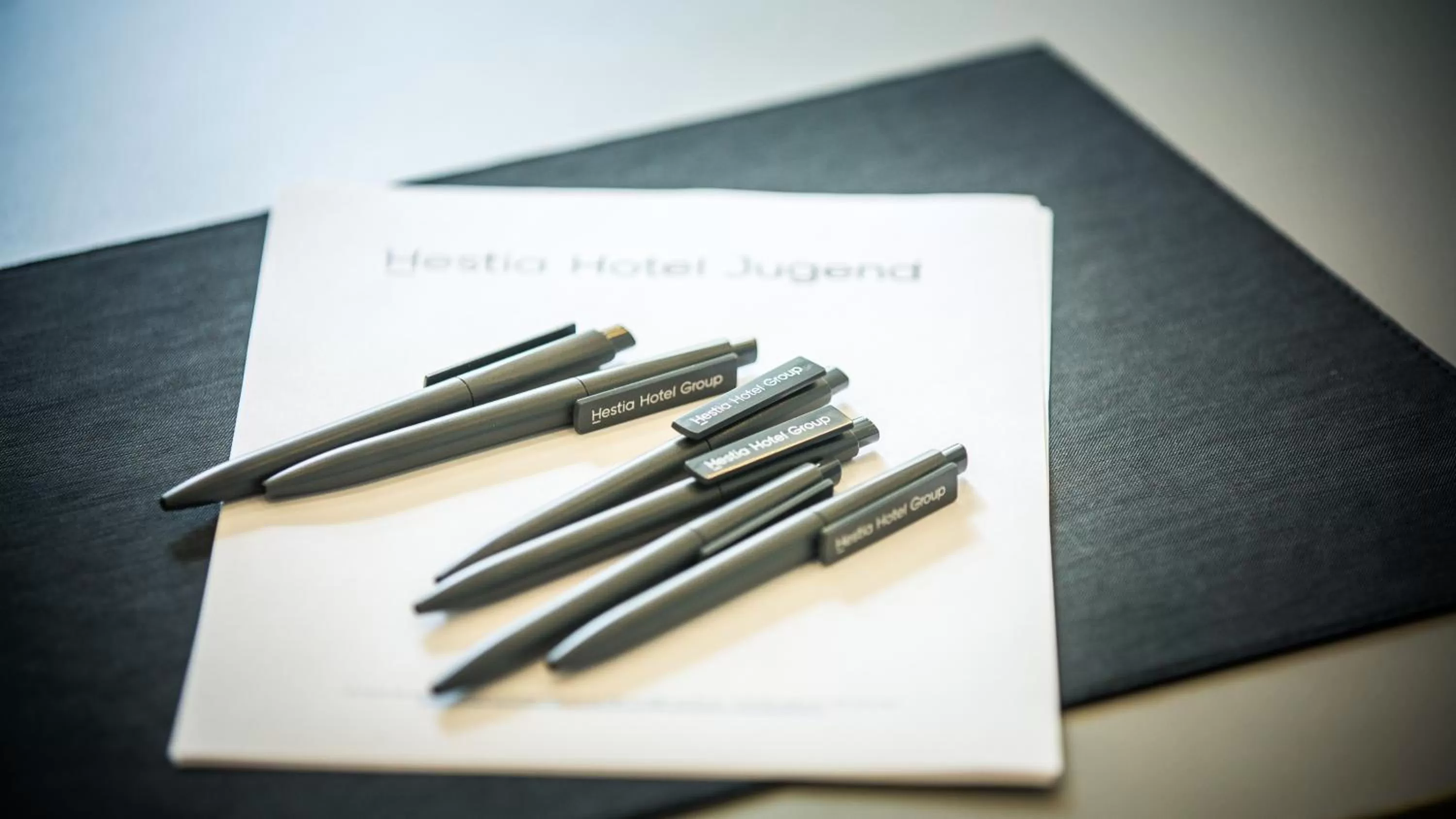 Business facilities in Hestia Hotel Jugend