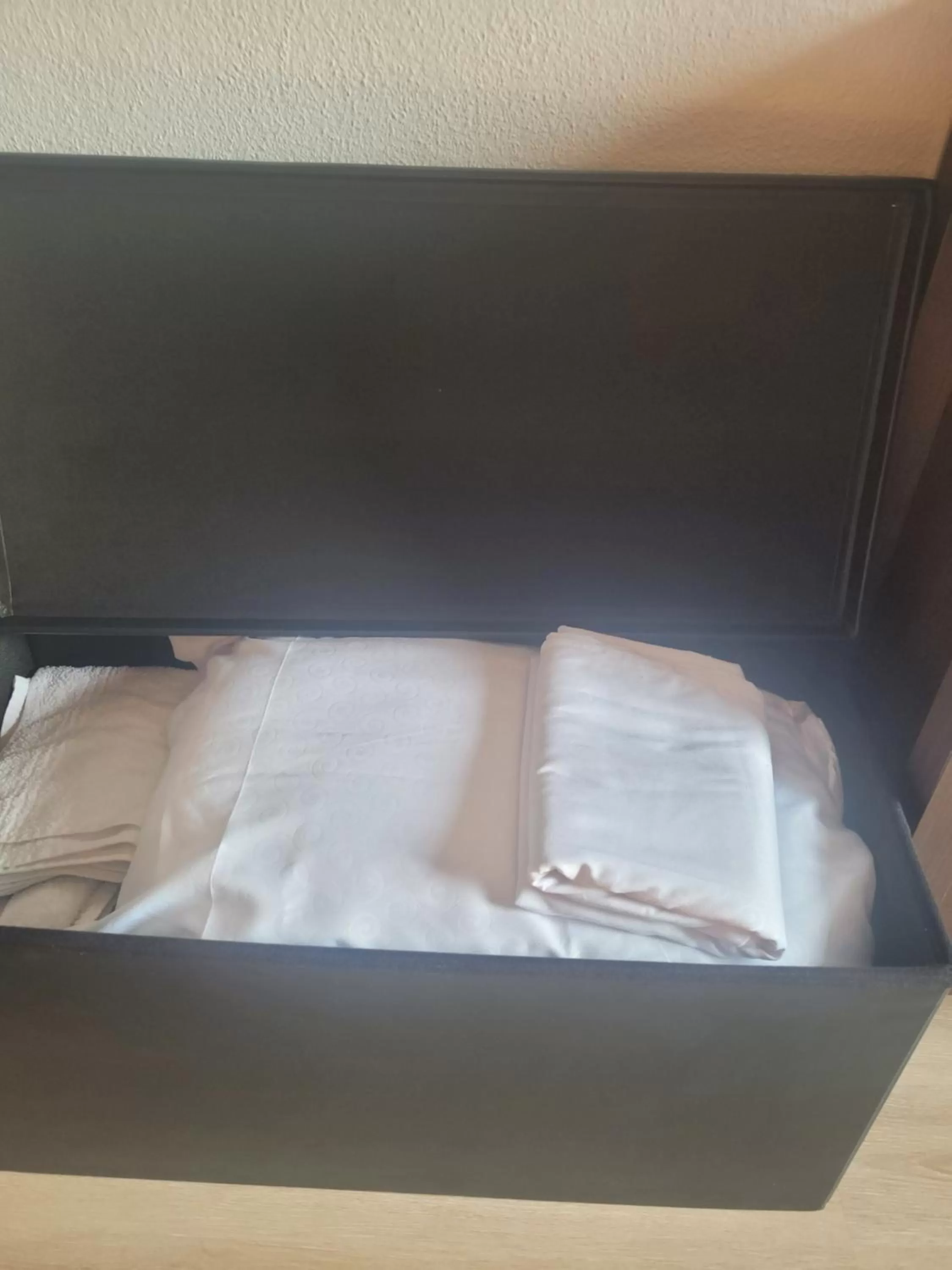 Living room, Bed in King Panorama mit Netflix