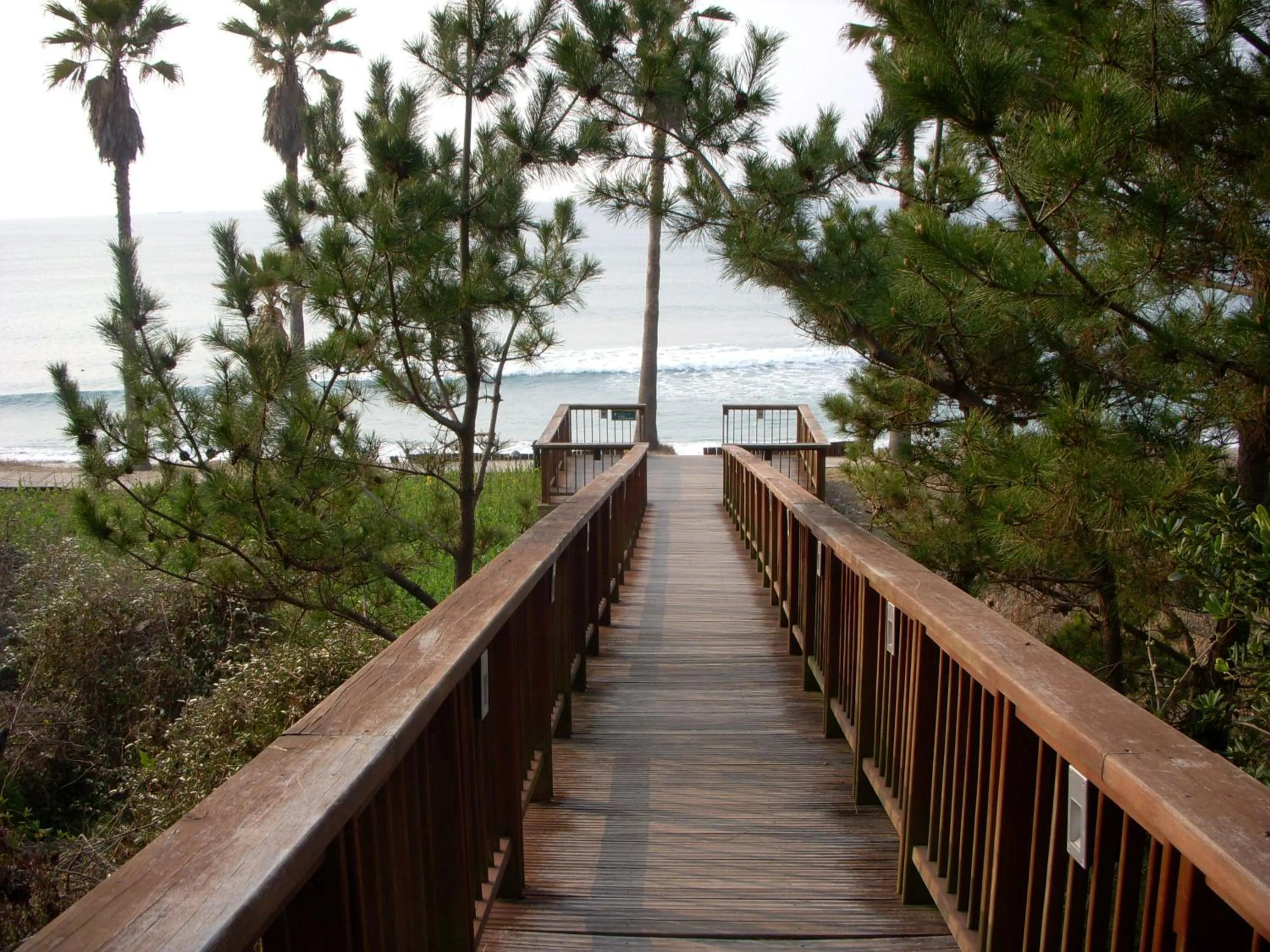 Day in Sunny Day Jeju