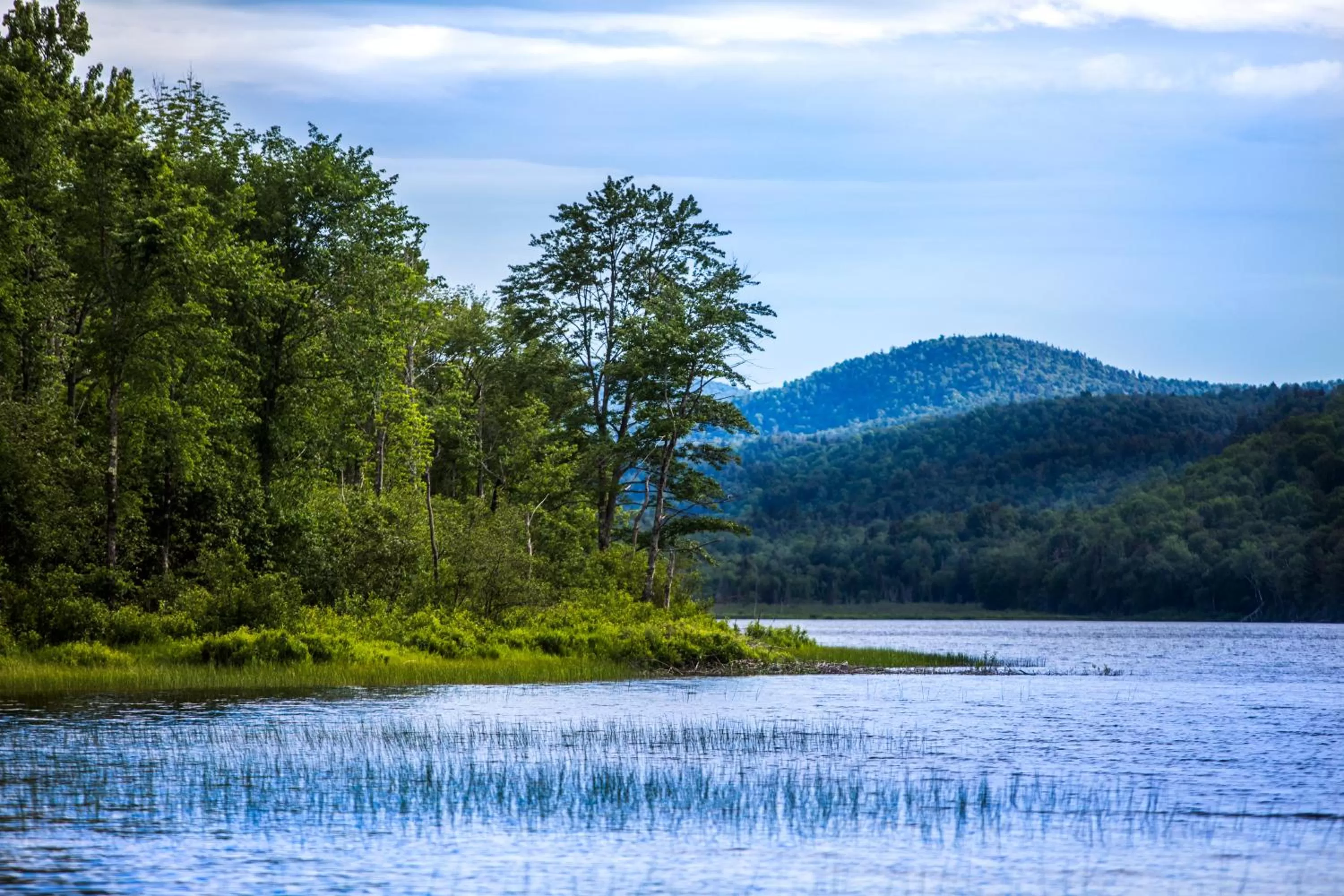 Natural landscape in Garnet Hill Lodge