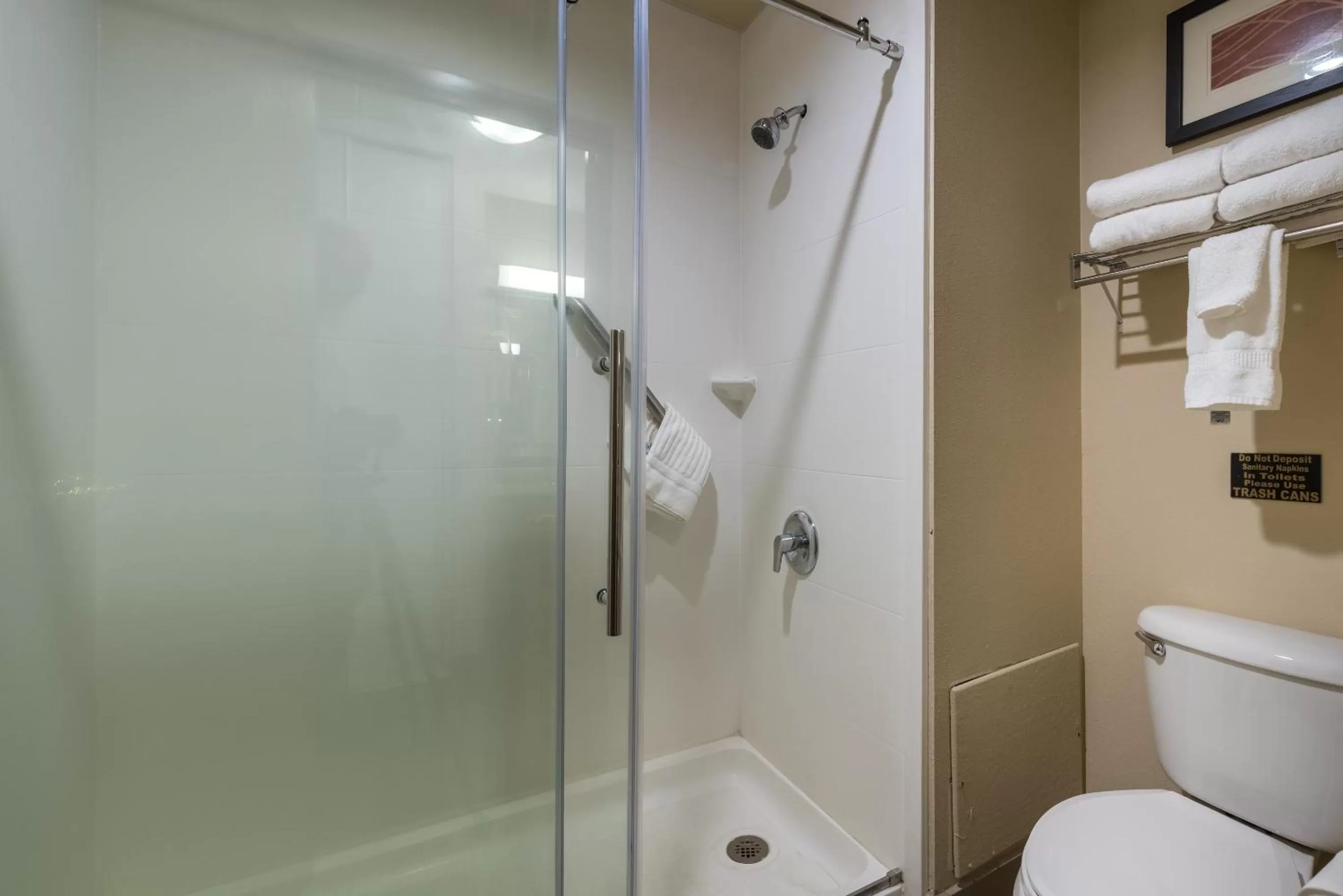 Shower in Comfort Inn & Suites Alamosa