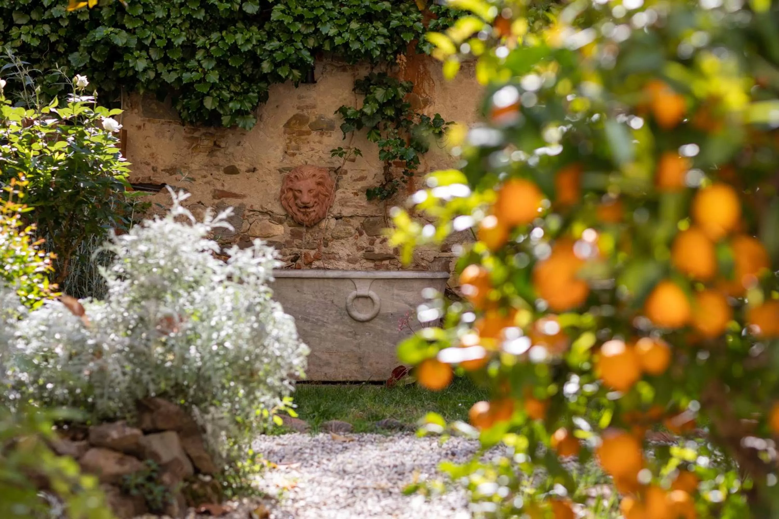 Garden in Secret Garden Firenze B&B
