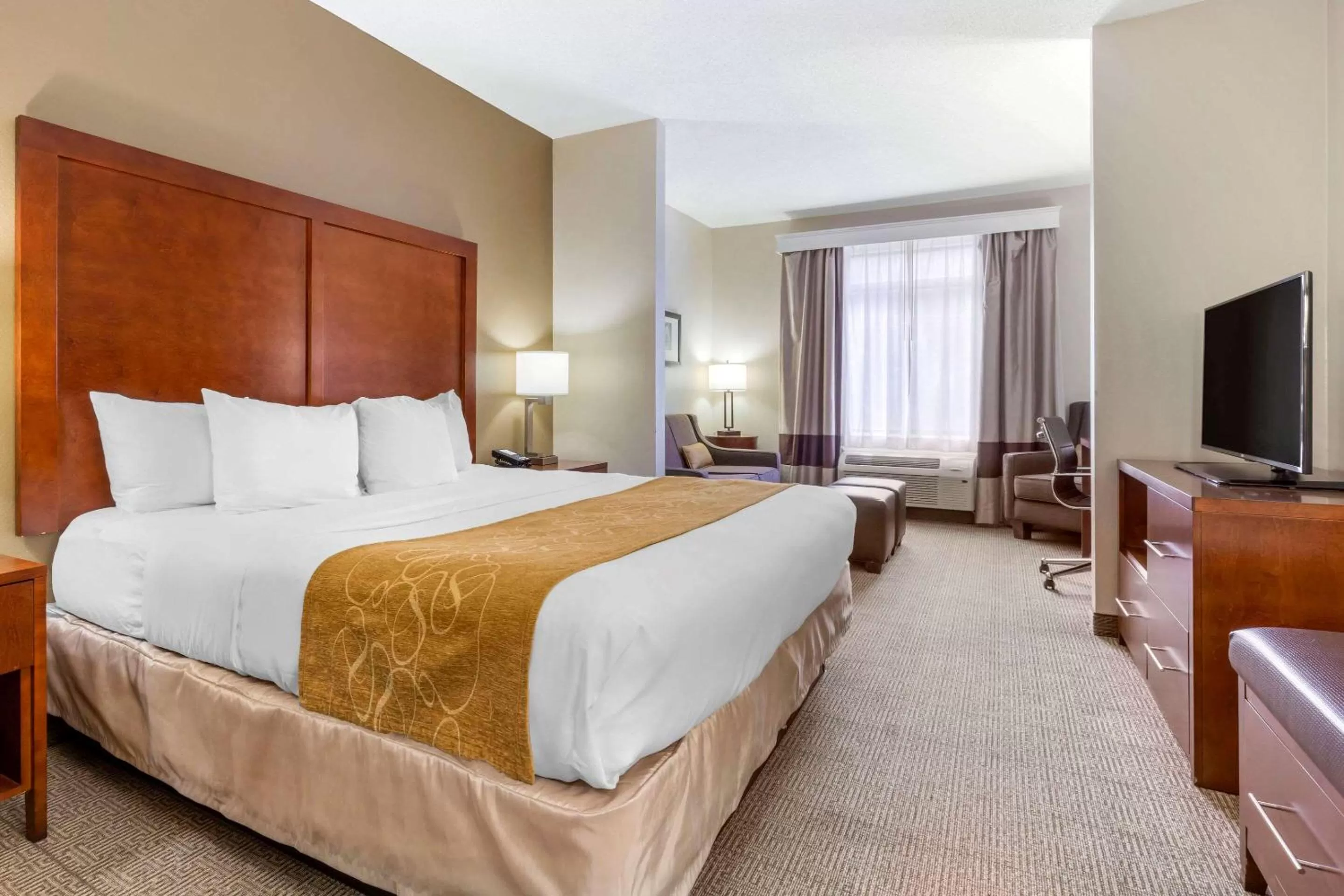 King Room - Non-Smoking in Comfort Suites Boone - University Area