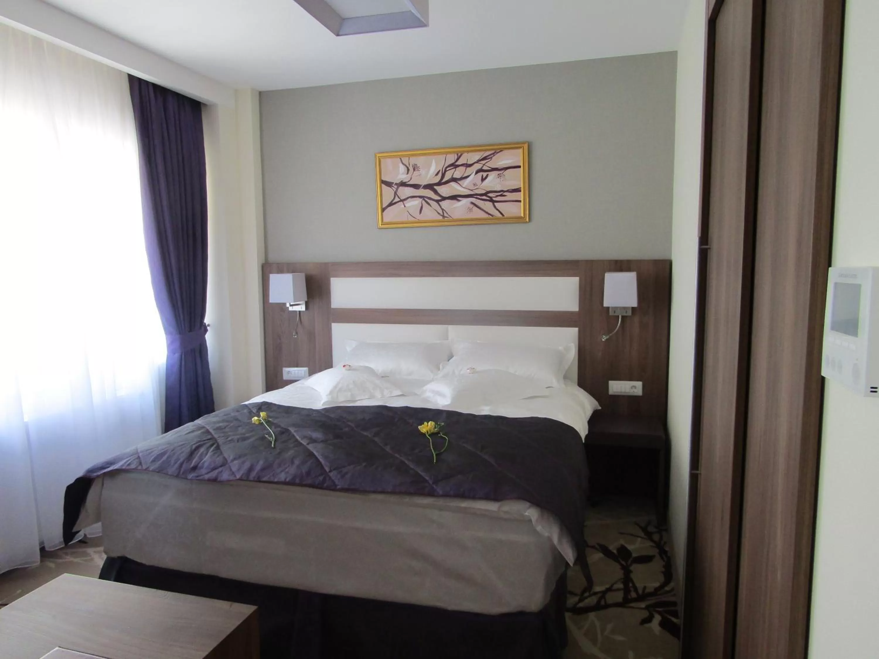 Two-Bedroom Suite in New Belvedere