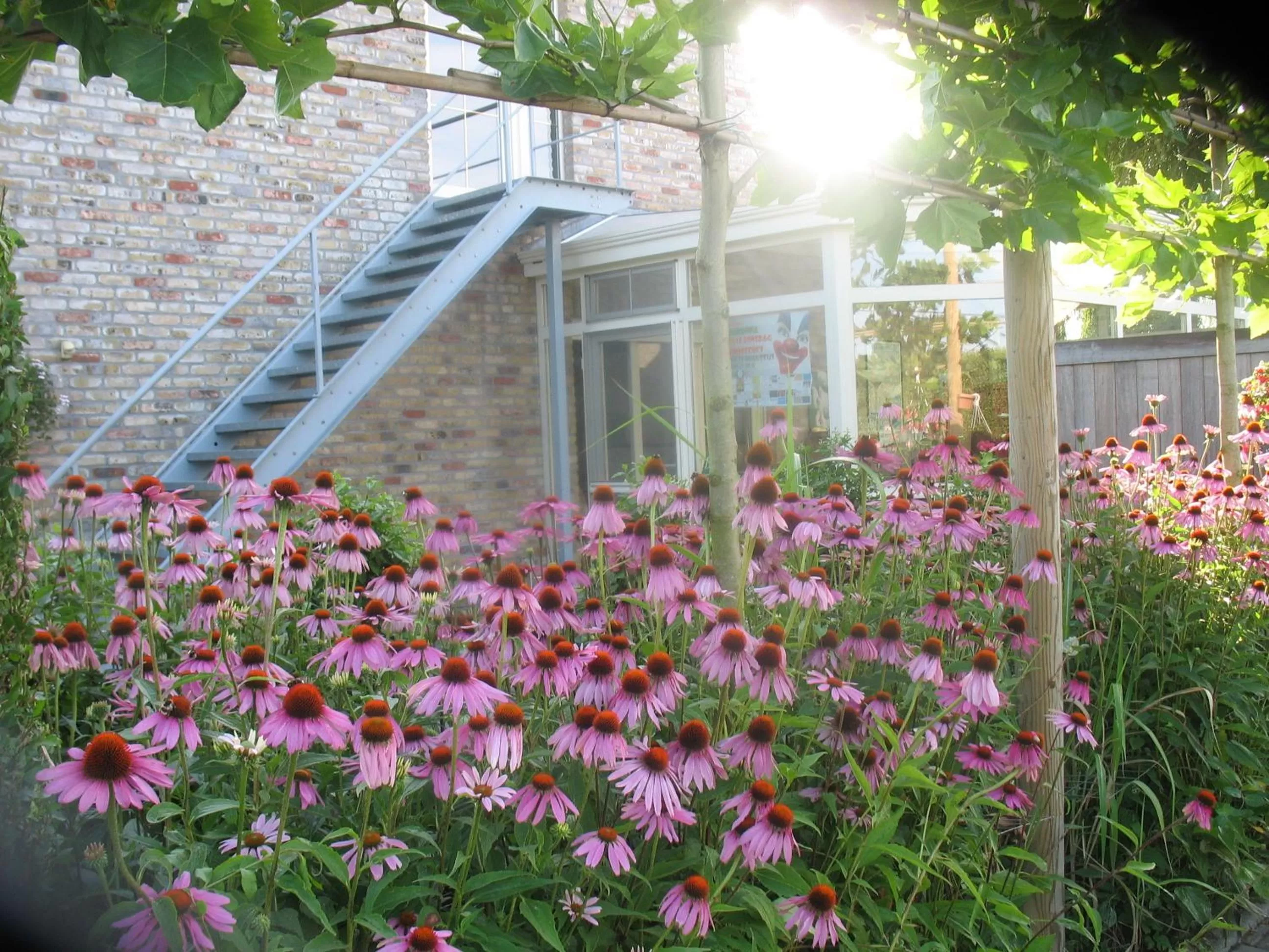 Property Building in B&B Greenhouse 37