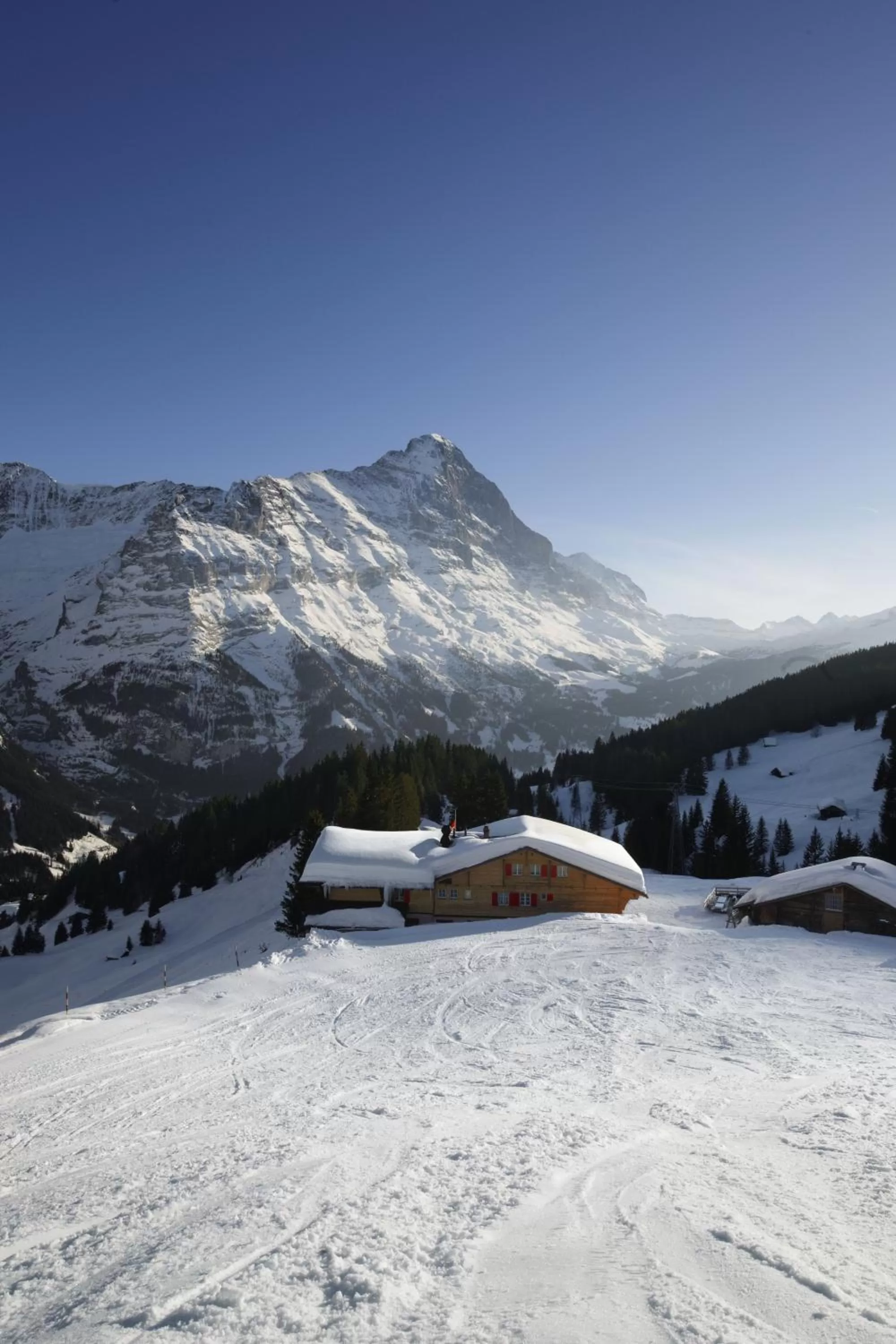 Bird's eye view in Alpinhotel Bort