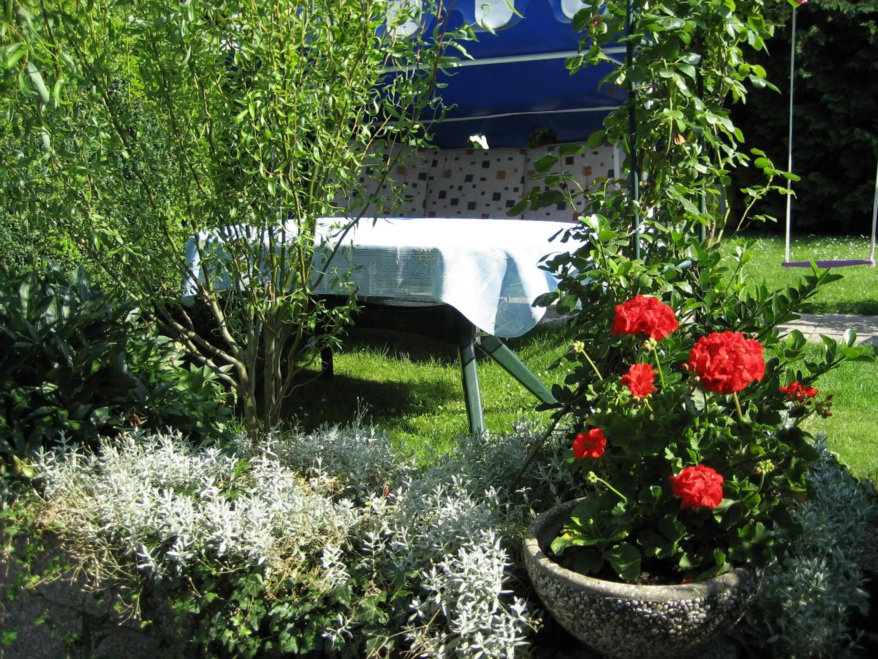 Area and facilities in Mekina Guesthouse