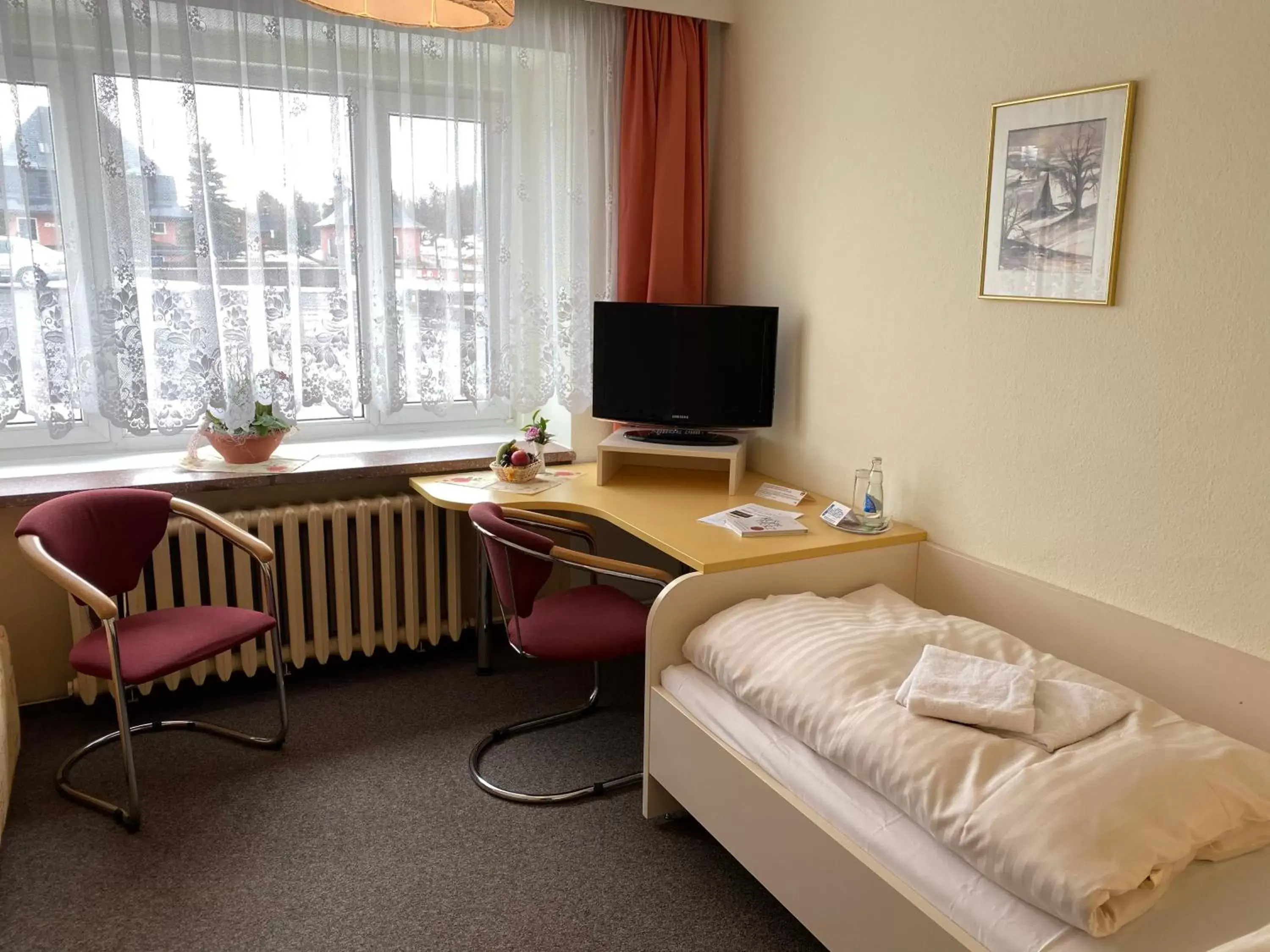 Single Room - single occupancy in Hotel Lugsteinhof Single Room - single occupancy in Hotel Lugsteinhof